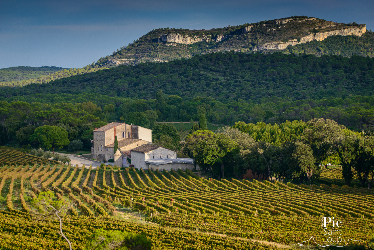 CHATEAU LA ROQUE