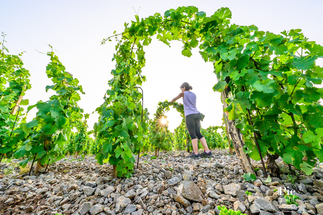 LE CLOS DES REBOUSSIERS