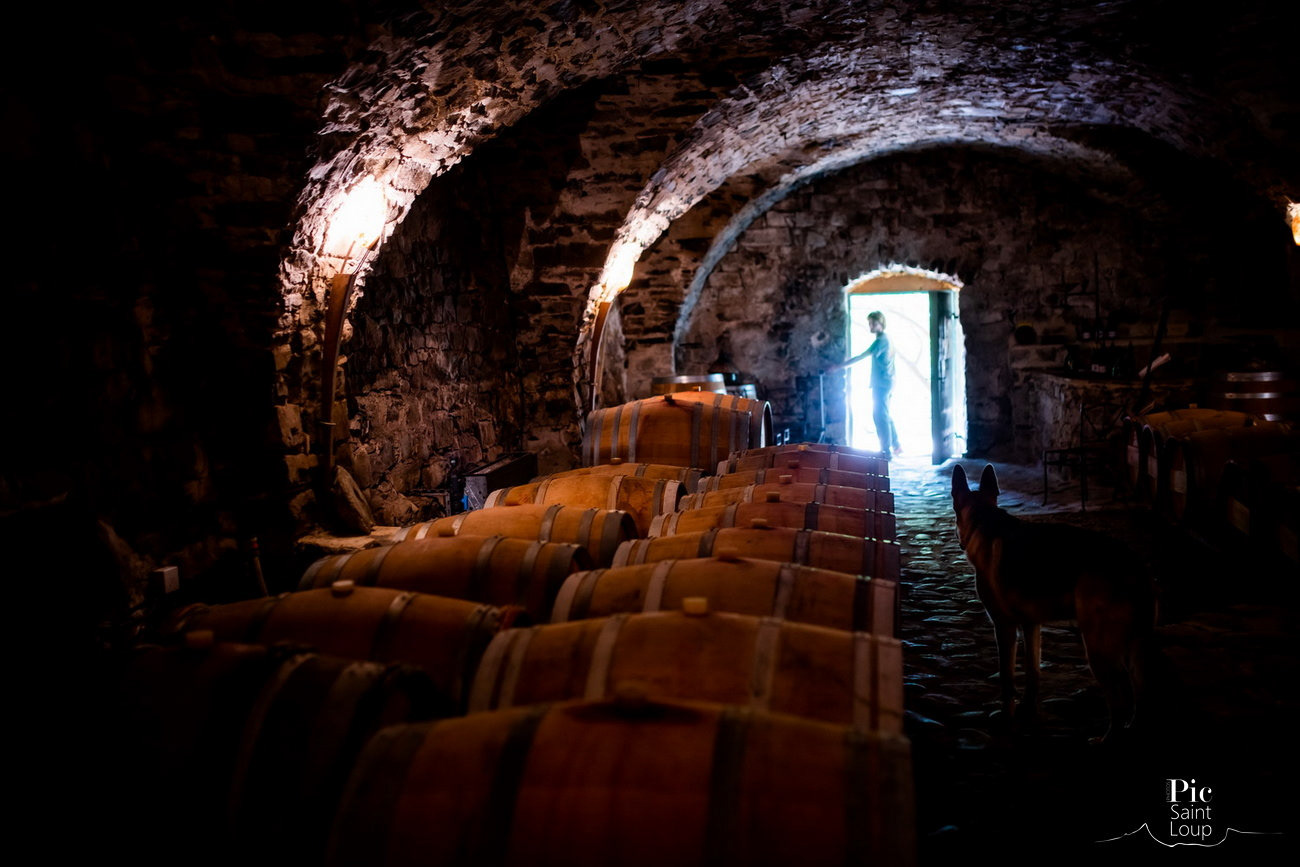 DOMAINE DE MORTIES