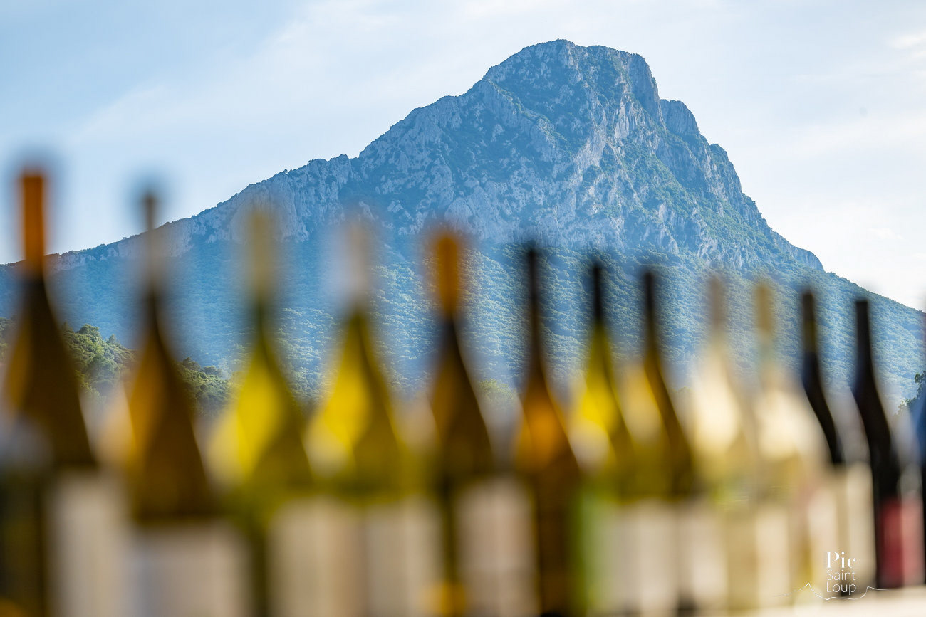AOP PIC SAINT-LOUP