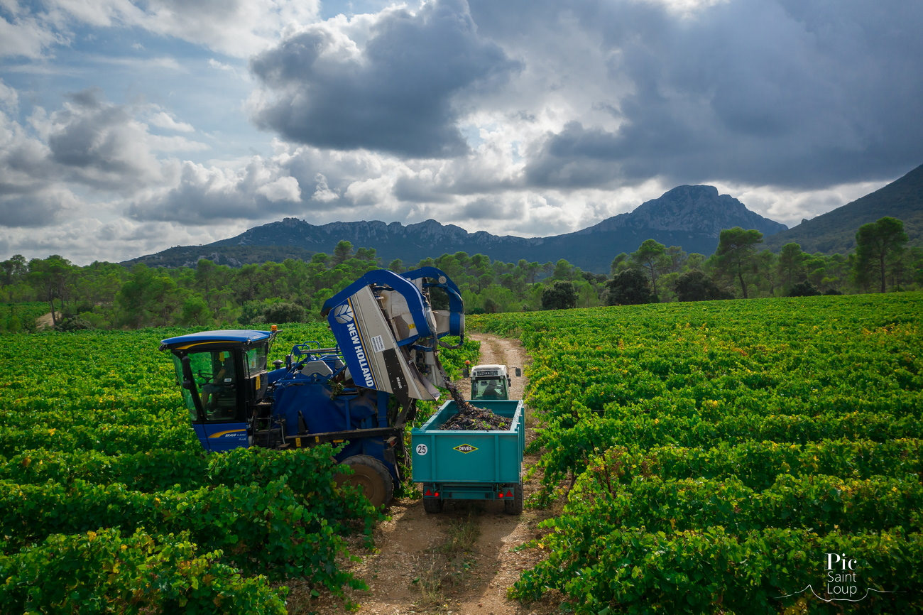 VIGNOBLES DES 3 CHATEAUX