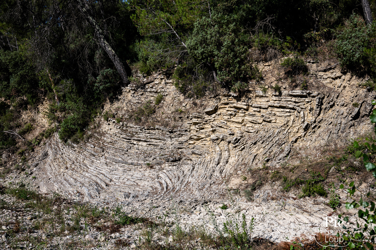 LE PETIT PIC SAINT-LOUP : PLI DEVERSÉ DU TERRIEU