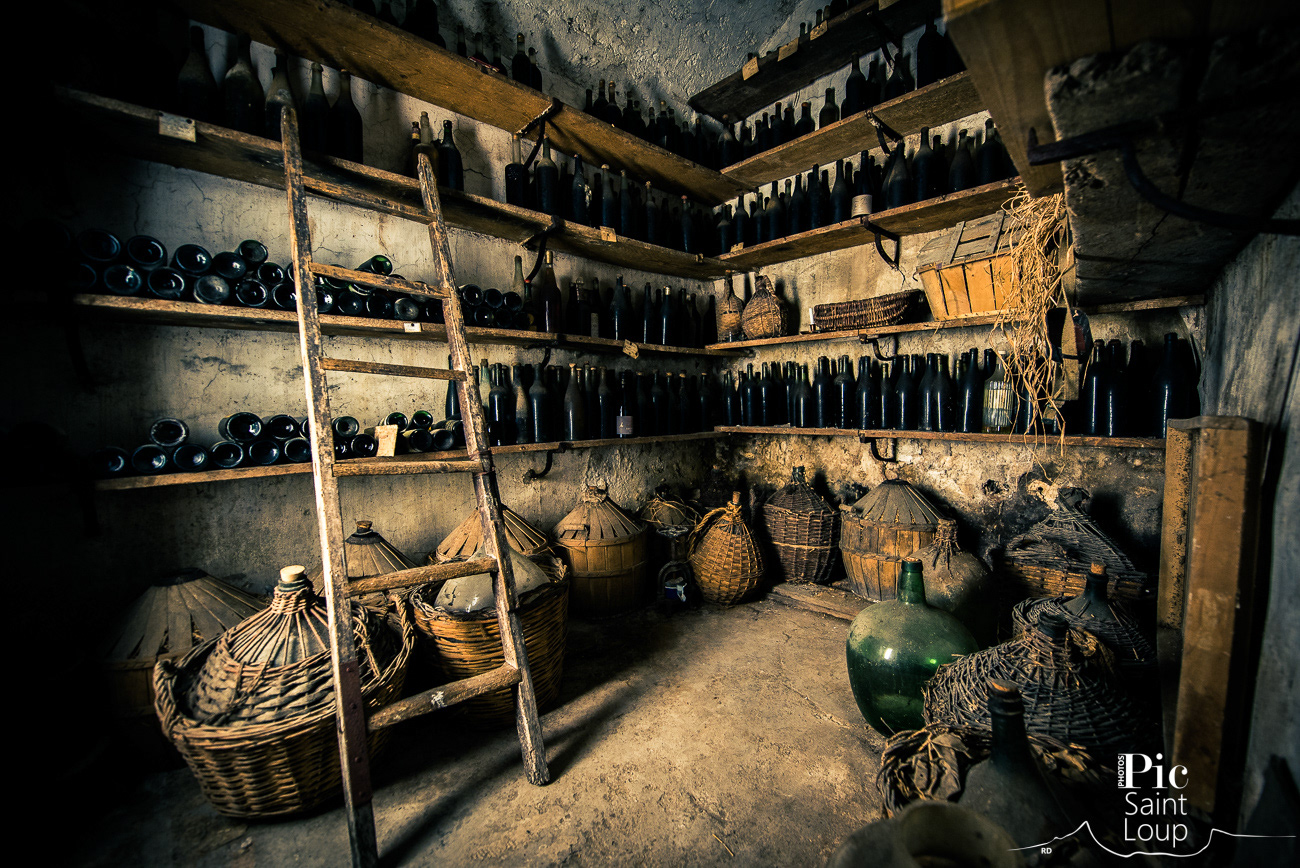 CHATEAU DE LASCAUX