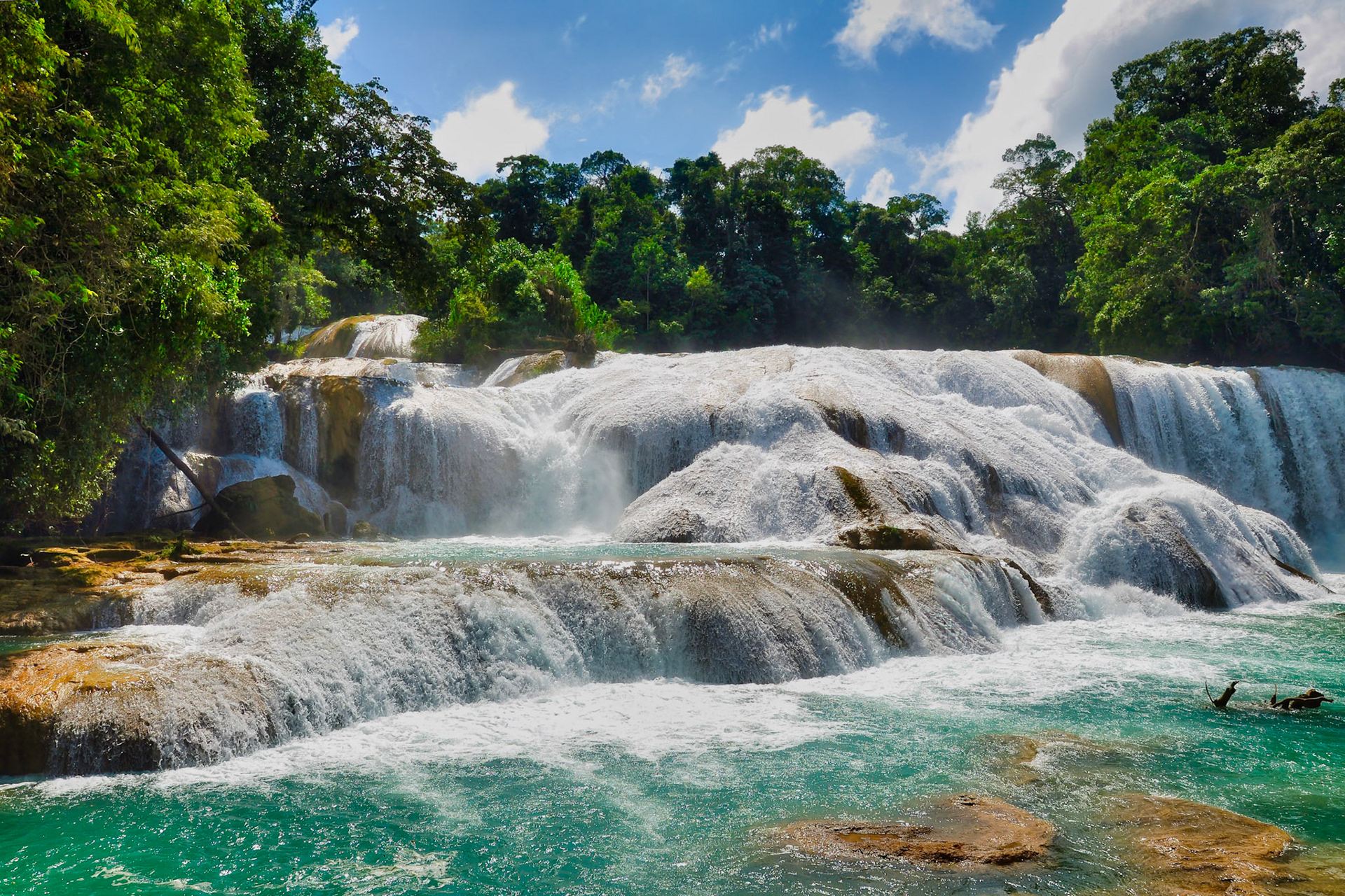 Cascades de Agua Azul au Chiapas, Mexique