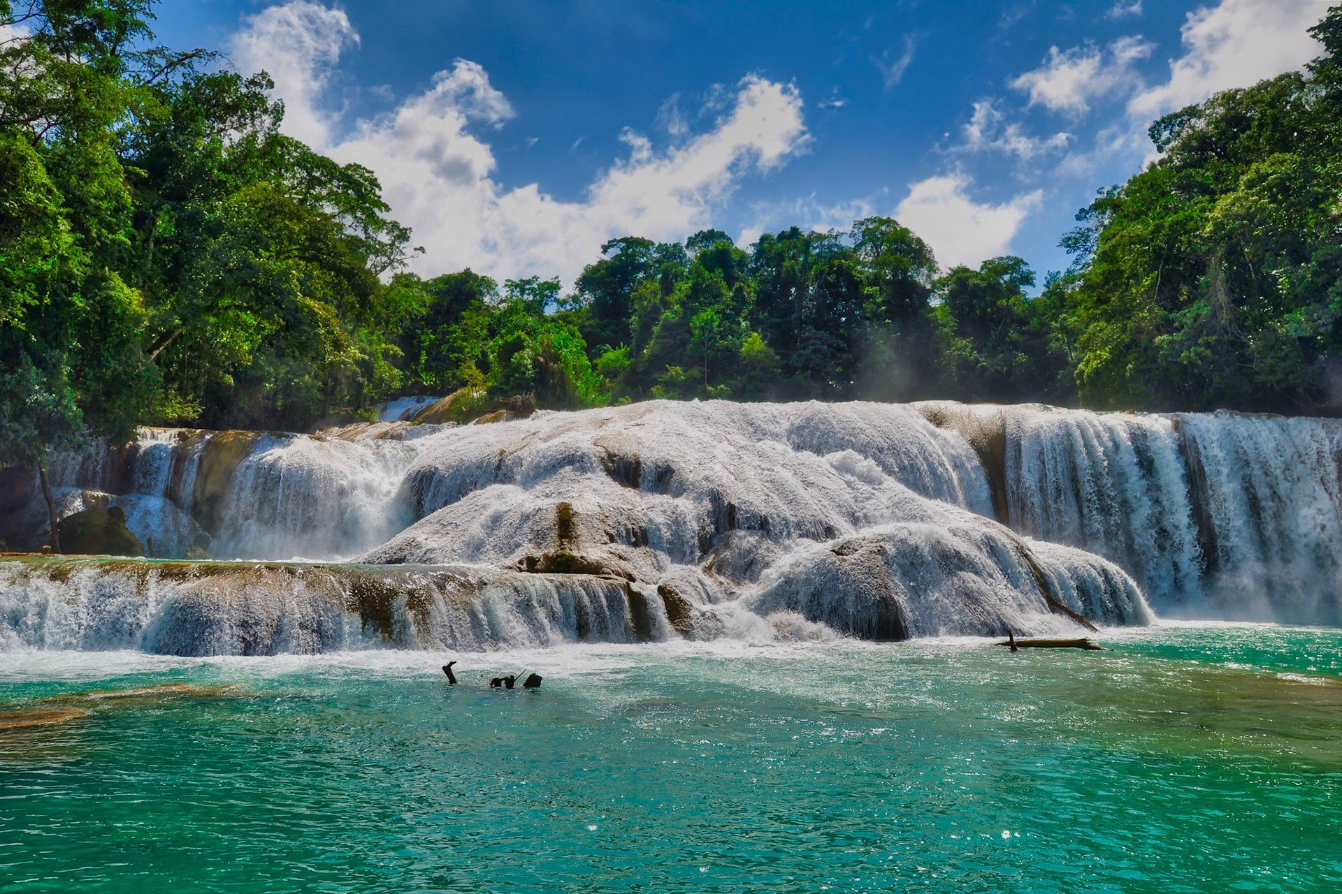Cascades de Agua Azul au Chiapas, Mexique