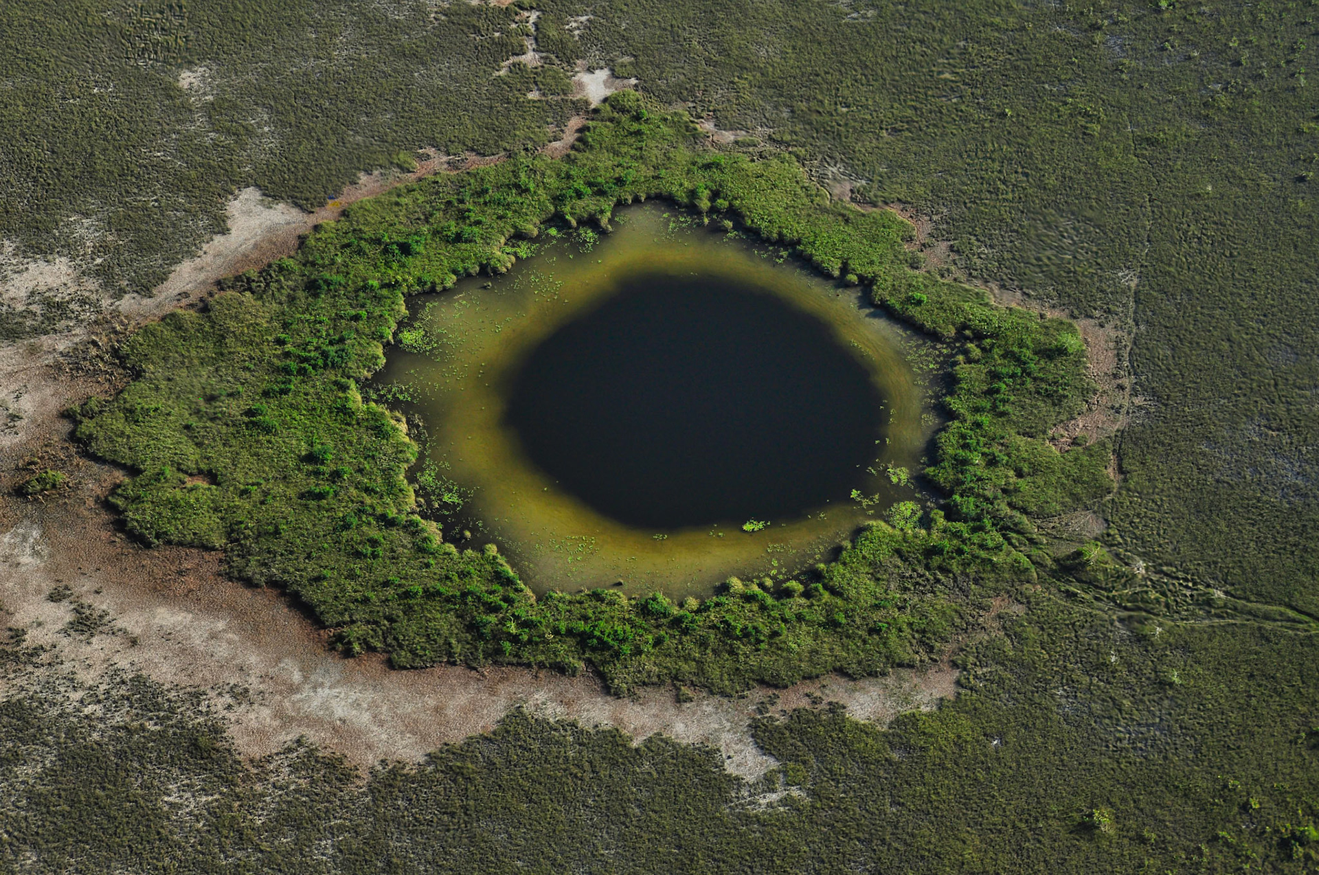 Cenote vue du ciel dans la Réserve de la biosphère de Sian Ka'an, Quintana Roo, Mexique