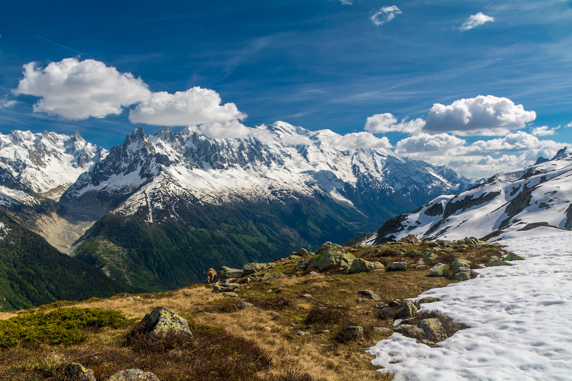 Vue sur le Mont-Blanc depuis le Parc naturel des Aiguilles Rouges