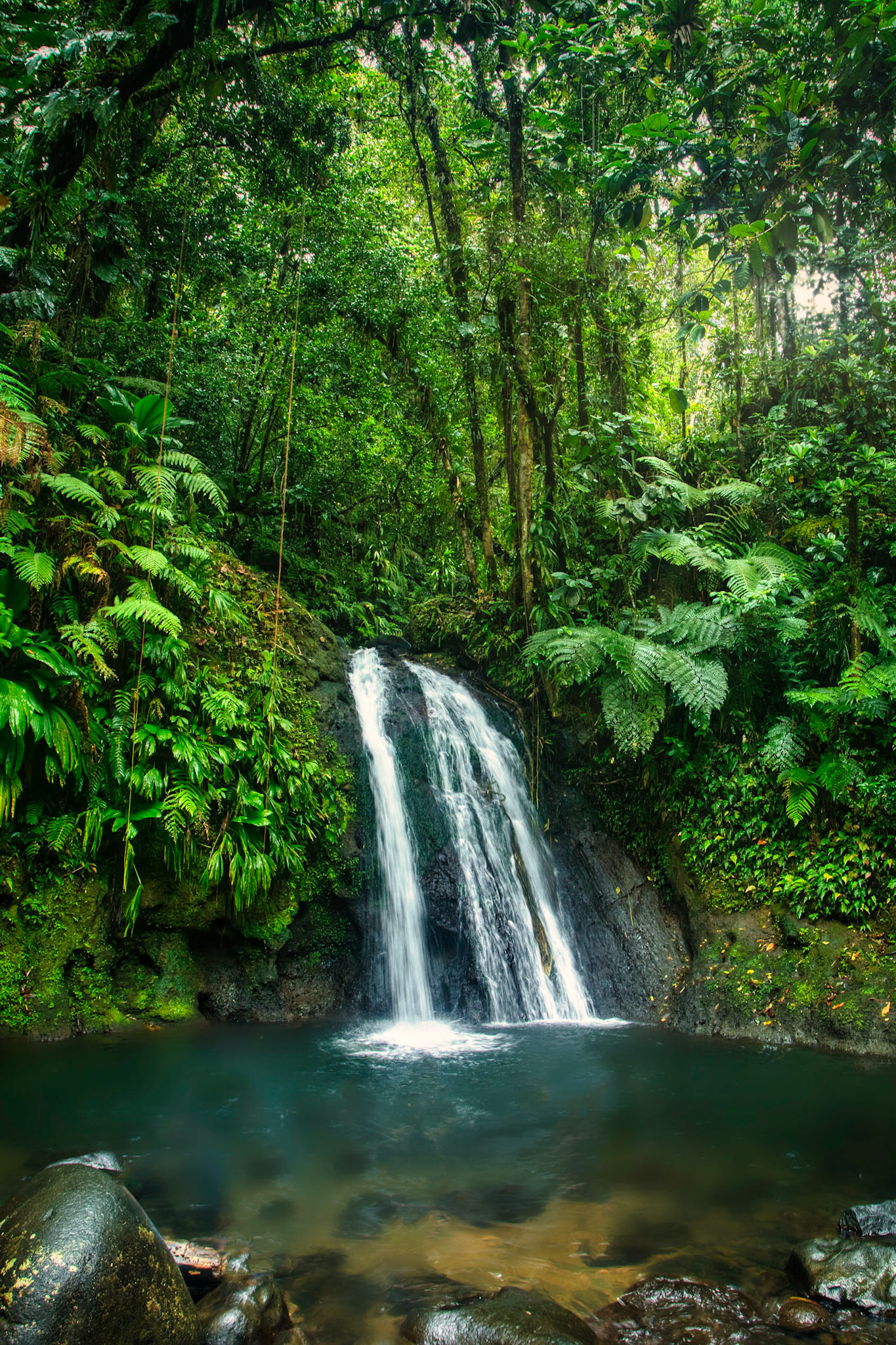 La Cascade aux écrevisses dans le Parc national de Guadeloupe © Jonathan Guyot