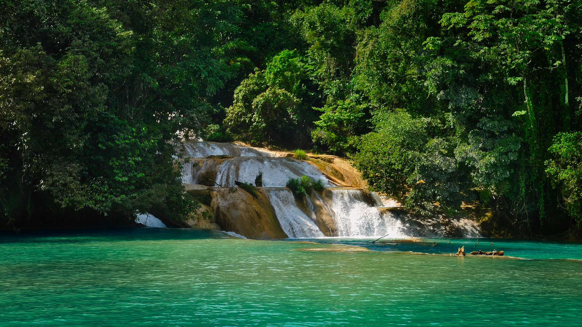Cascades de Agua Azul au Chiapas, Mexique