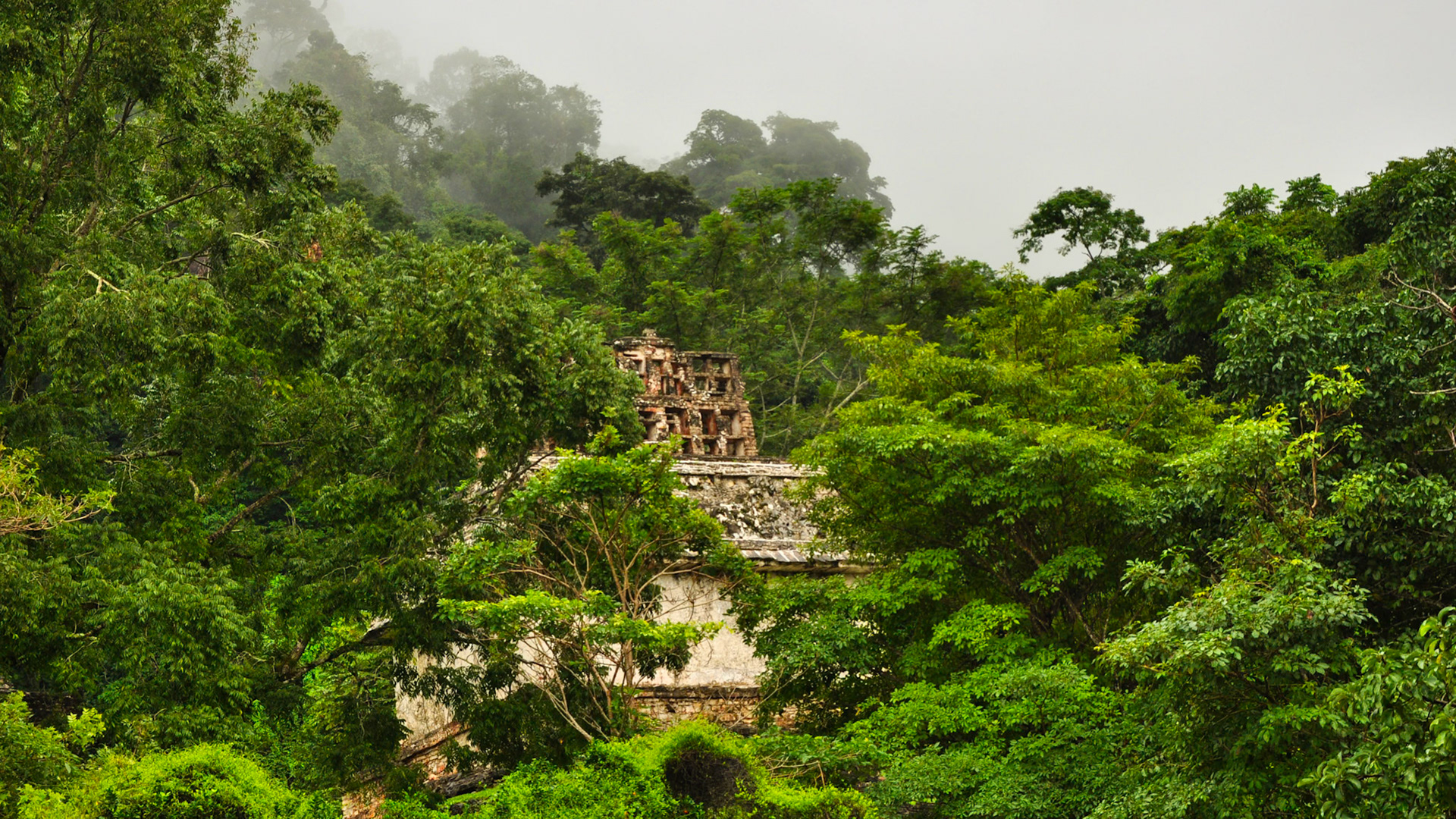 Site archéologique maya de Palenque au Chiapas, Mexique