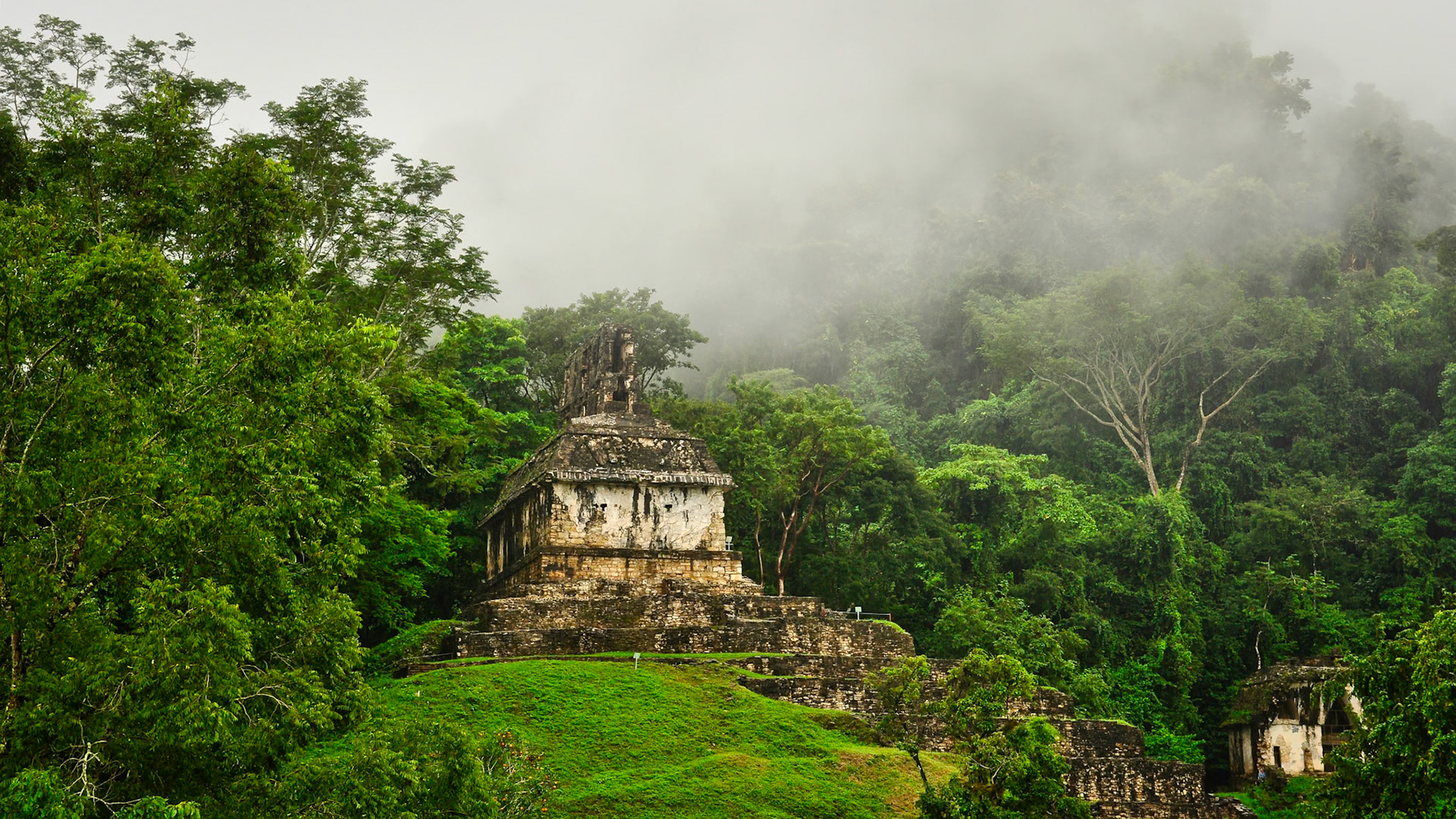 Site archéologique maya de Palenque au Chiapas, Mexique