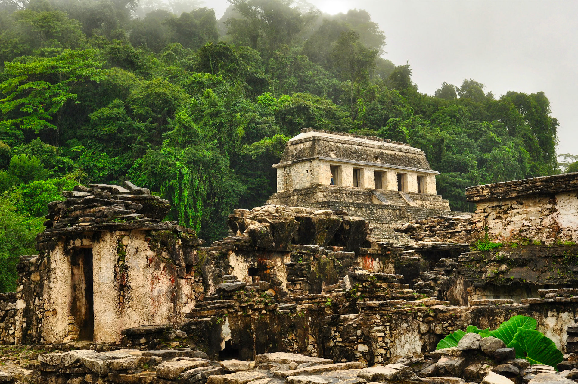 Site archéologique maya de Palenque au Chiapas, Mexique
