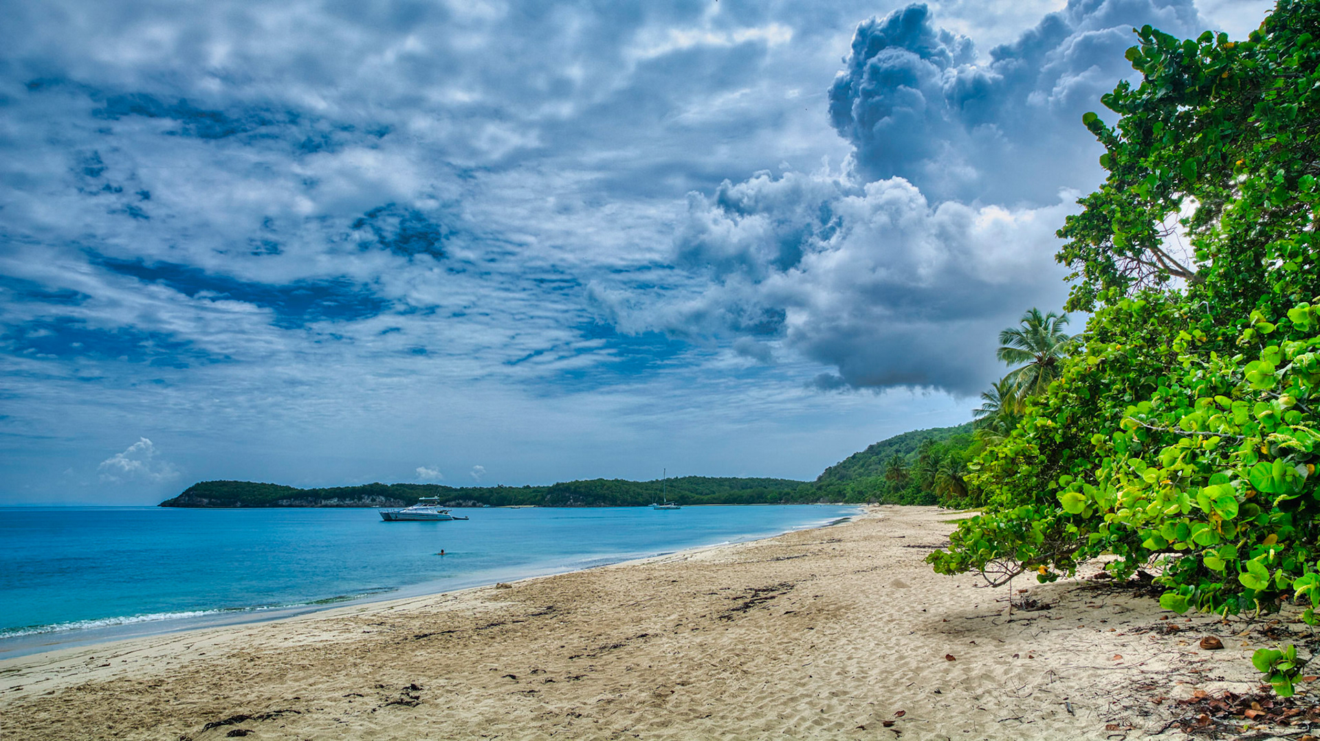 Plage moustique de l'Anse de May à Marie-Galante, Guadeloupe © Jonathan Guyot