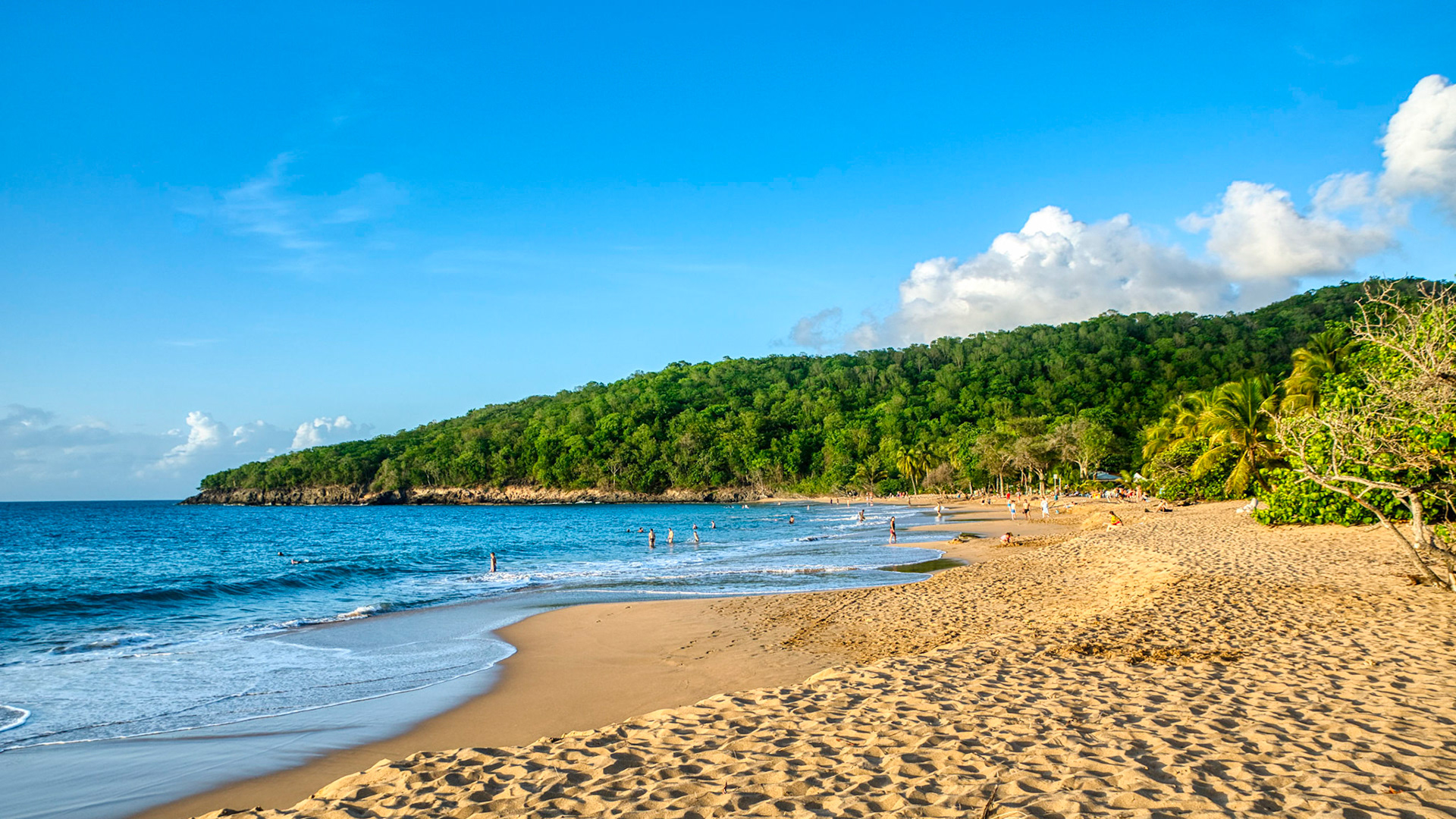 Plage de la perle, Guadeloupe © Jonathan Guyot