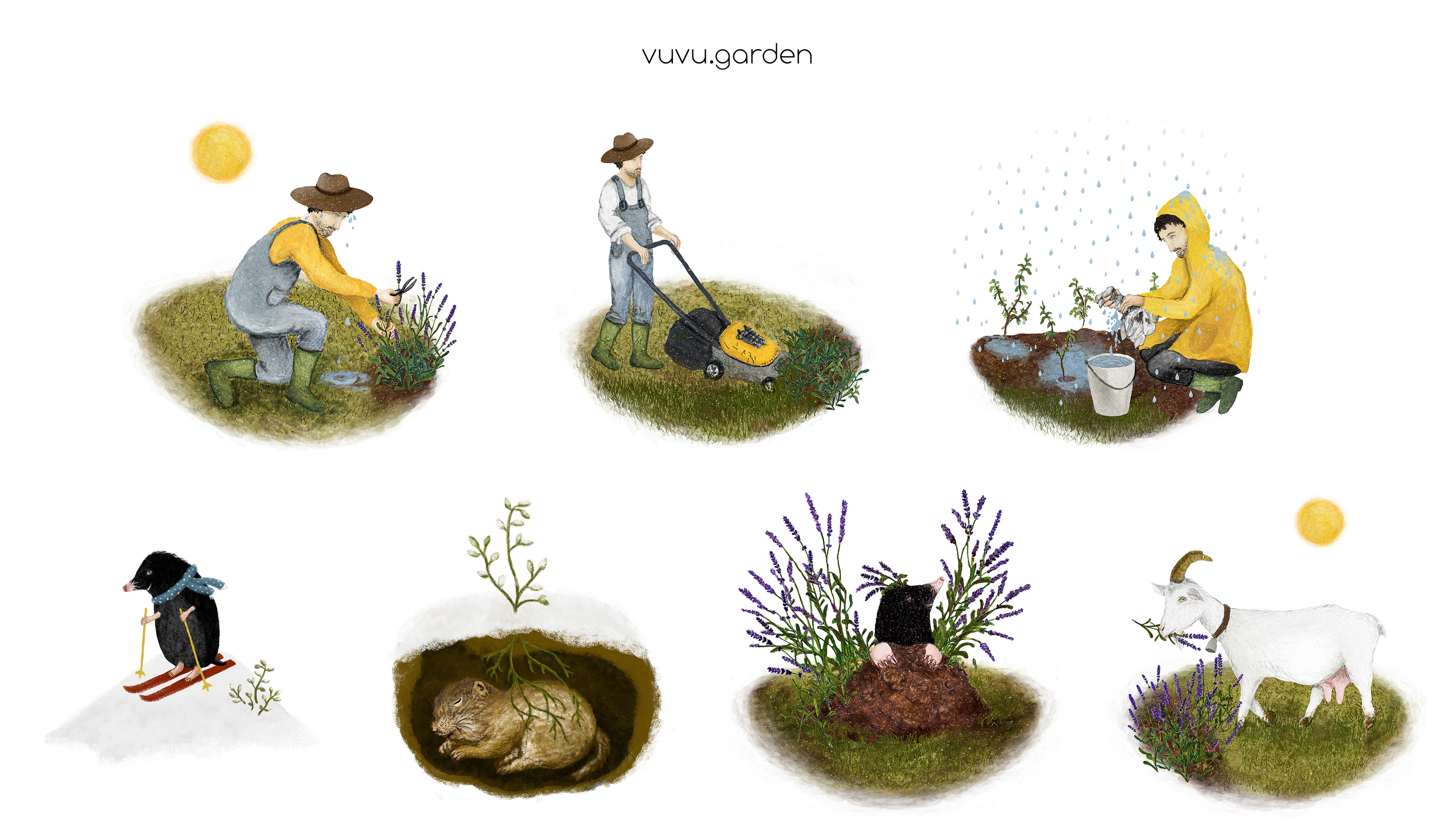 Ilustrácie záhradkár, prestovanie levandule - ilustrátorka Valentína Figeľová