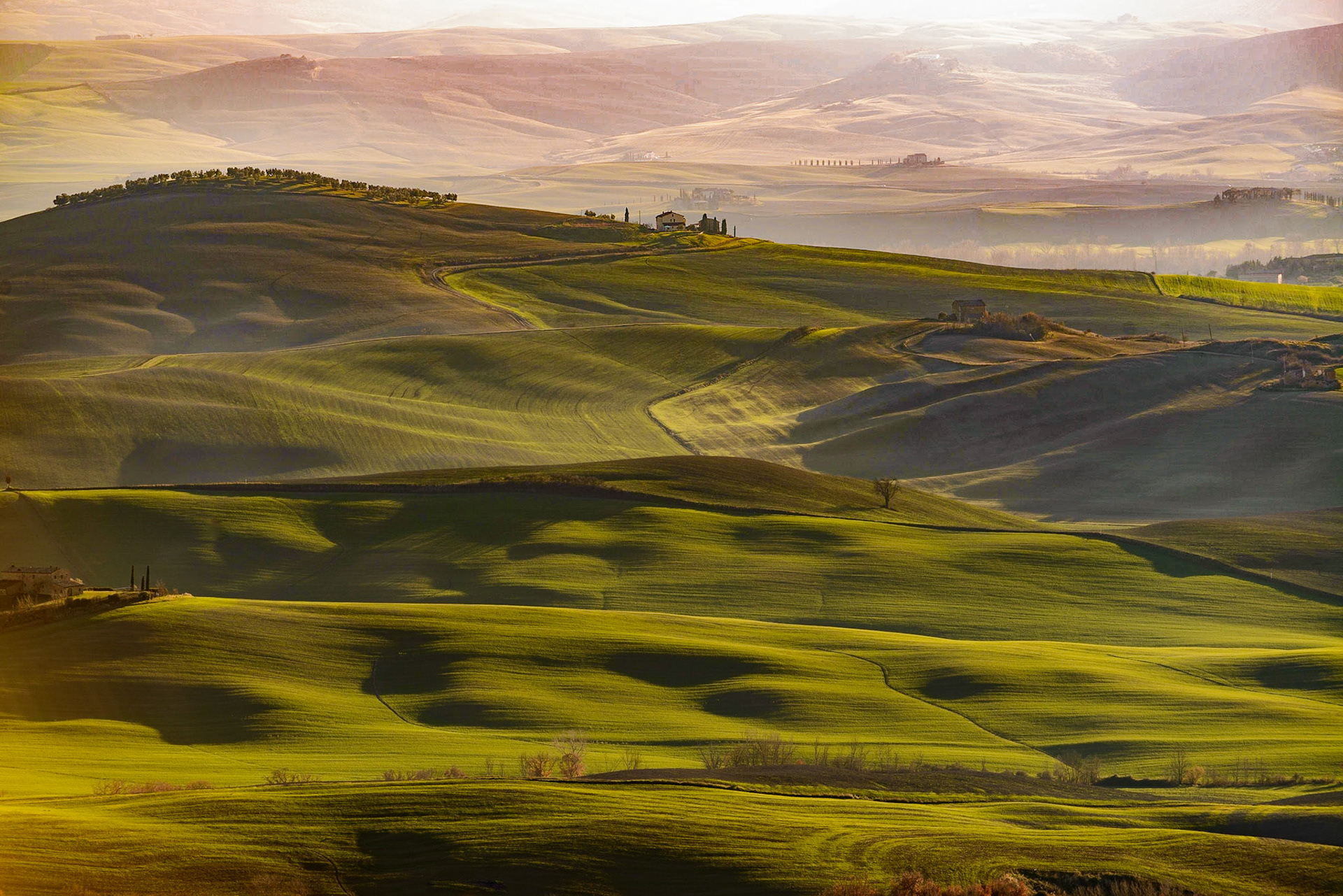 Afternoon light