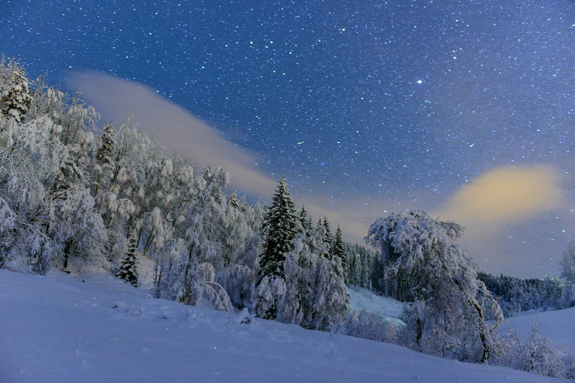 Winter wonderland