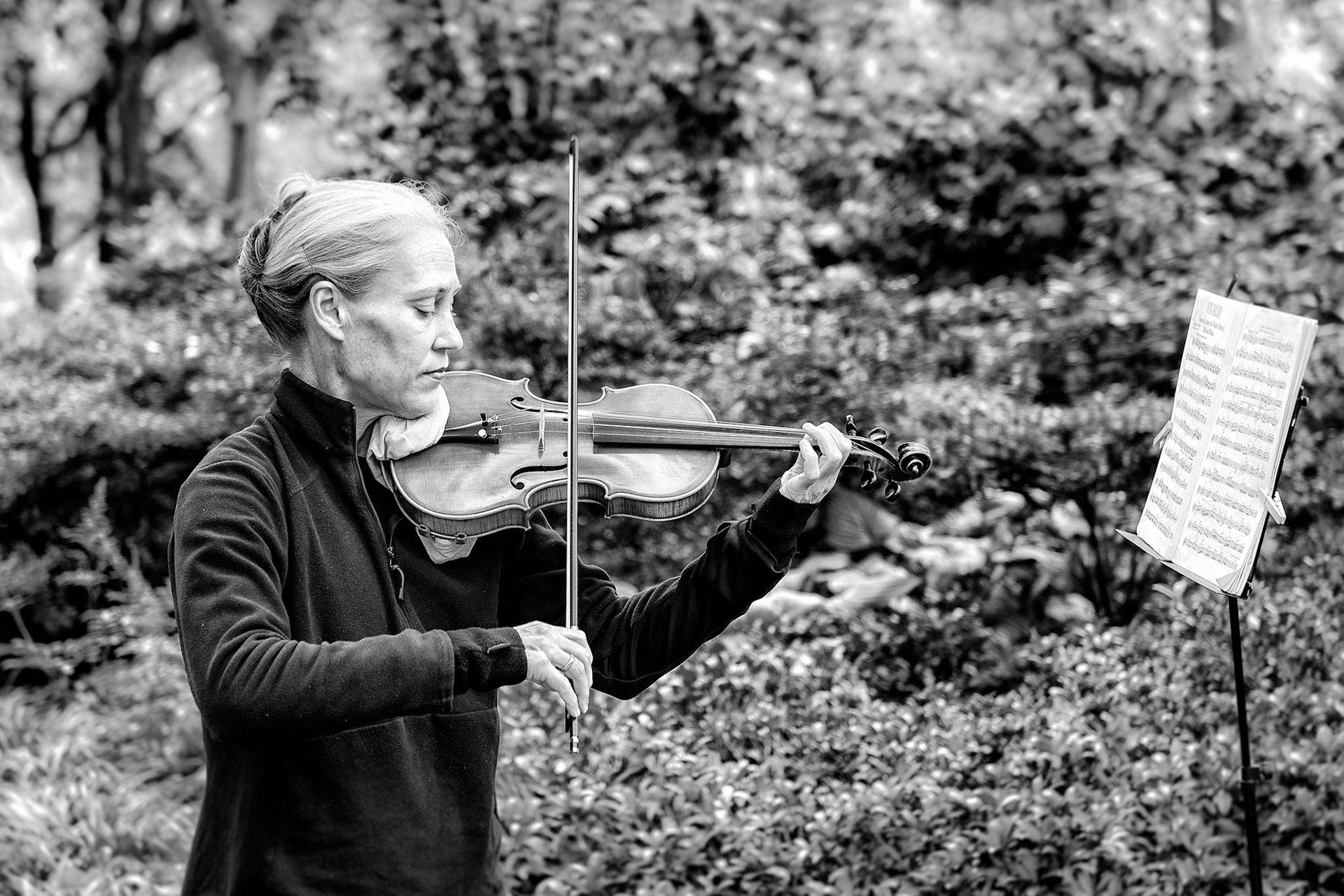 The Violinist