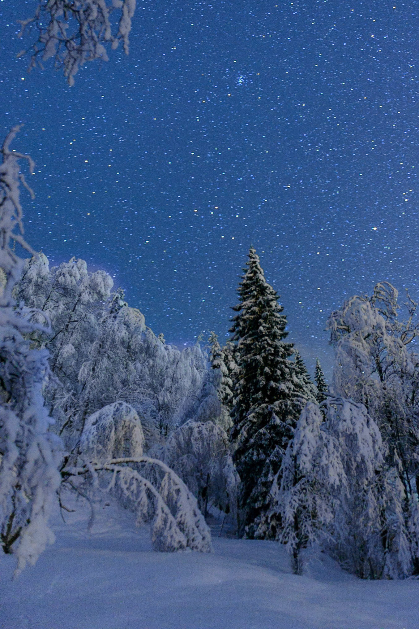 Winter wonderland III