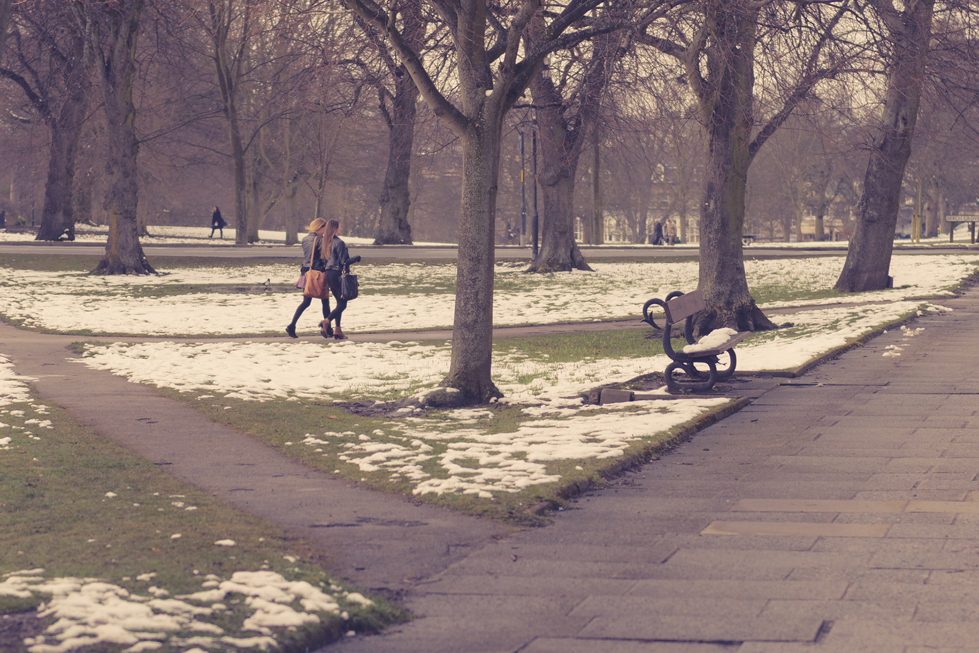 A walk in the park