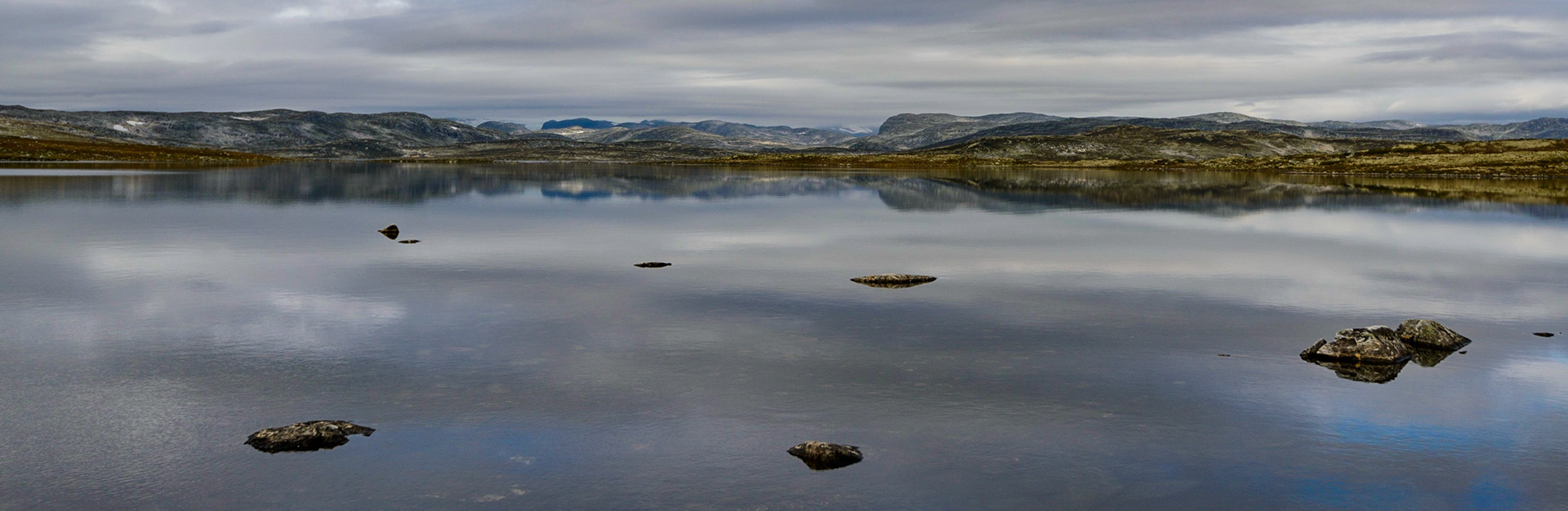 Hardangervidden panorama