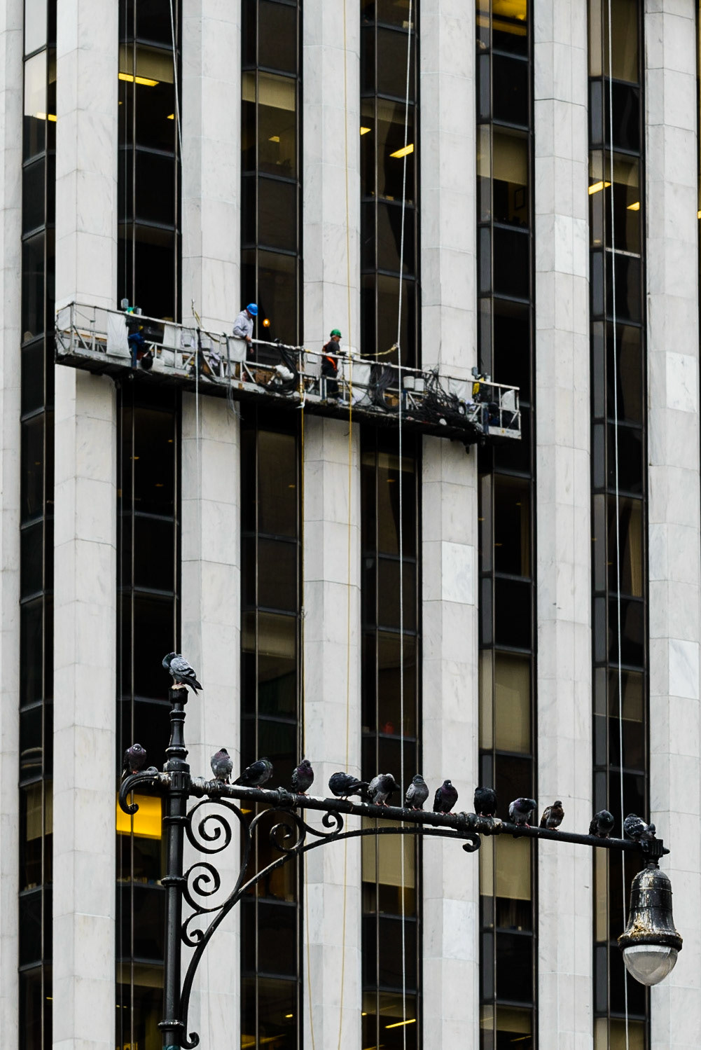 Pigeons and workers