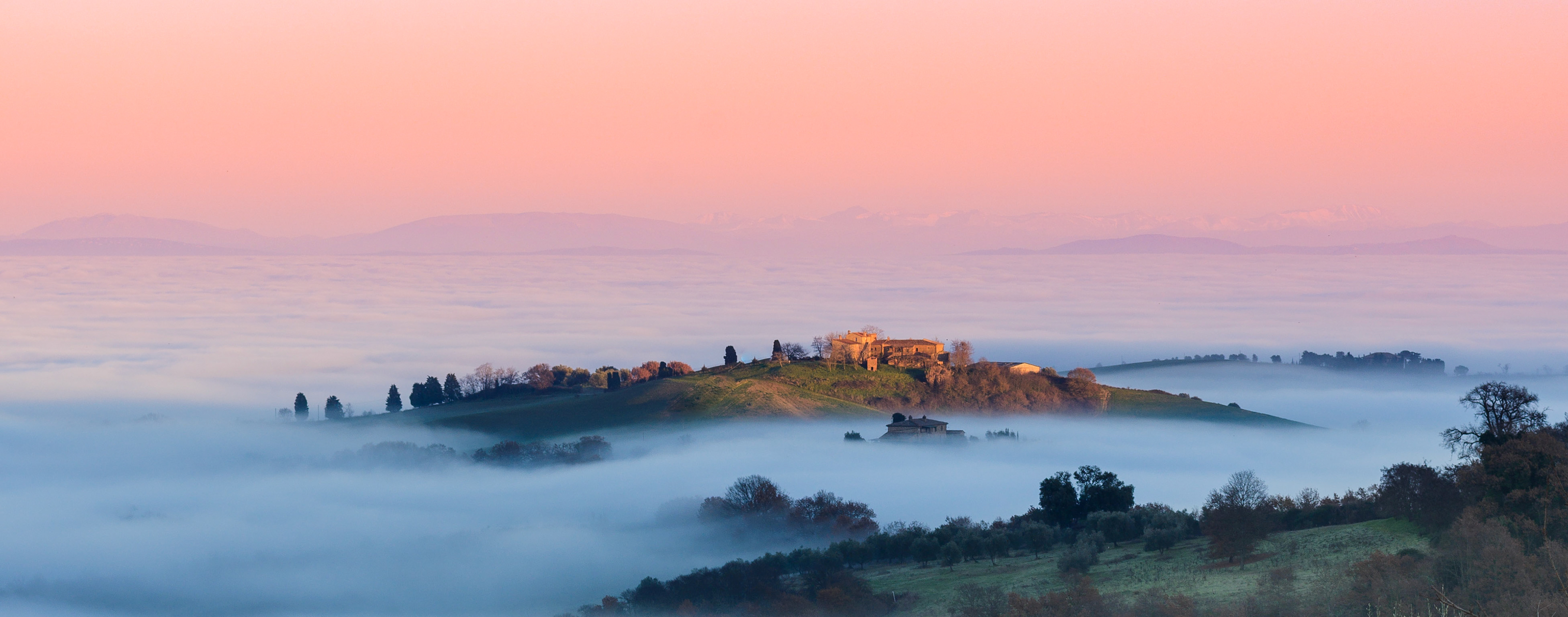Out of the fog
