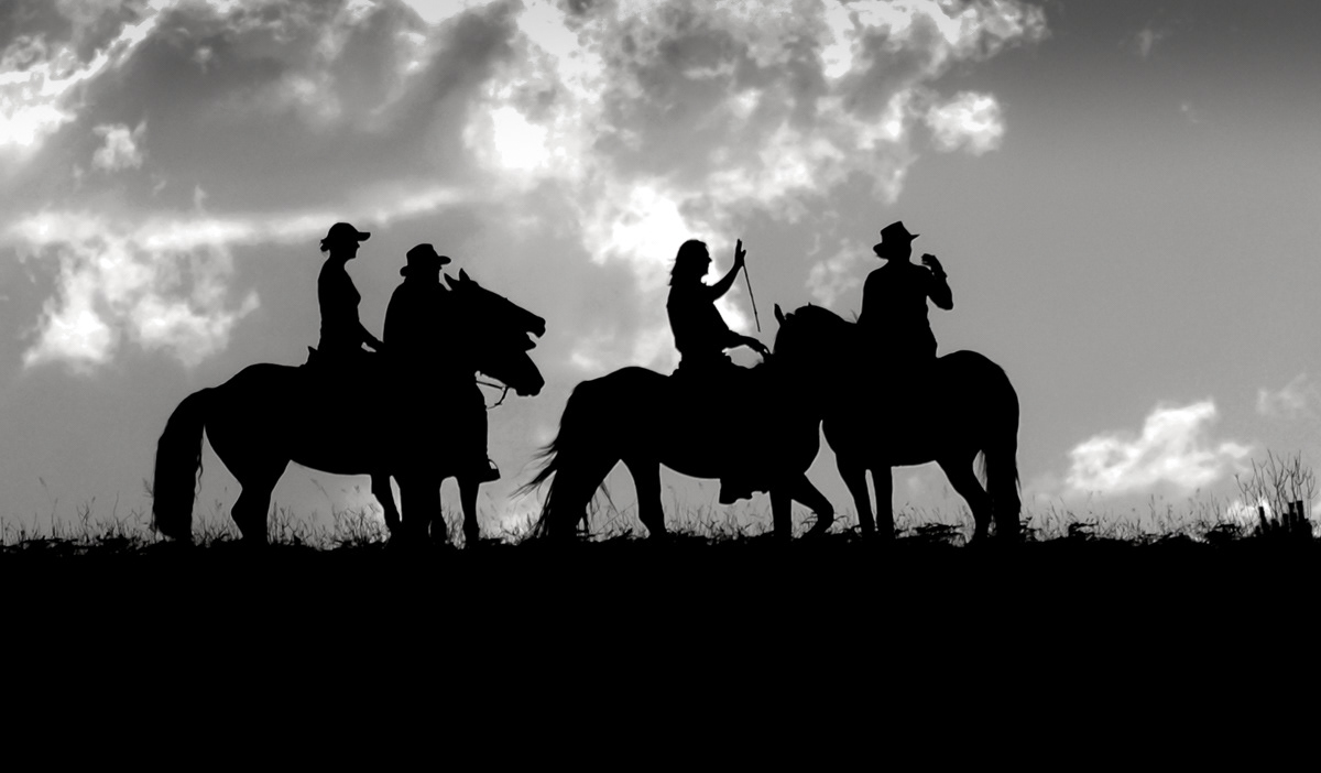 silhouette of riders