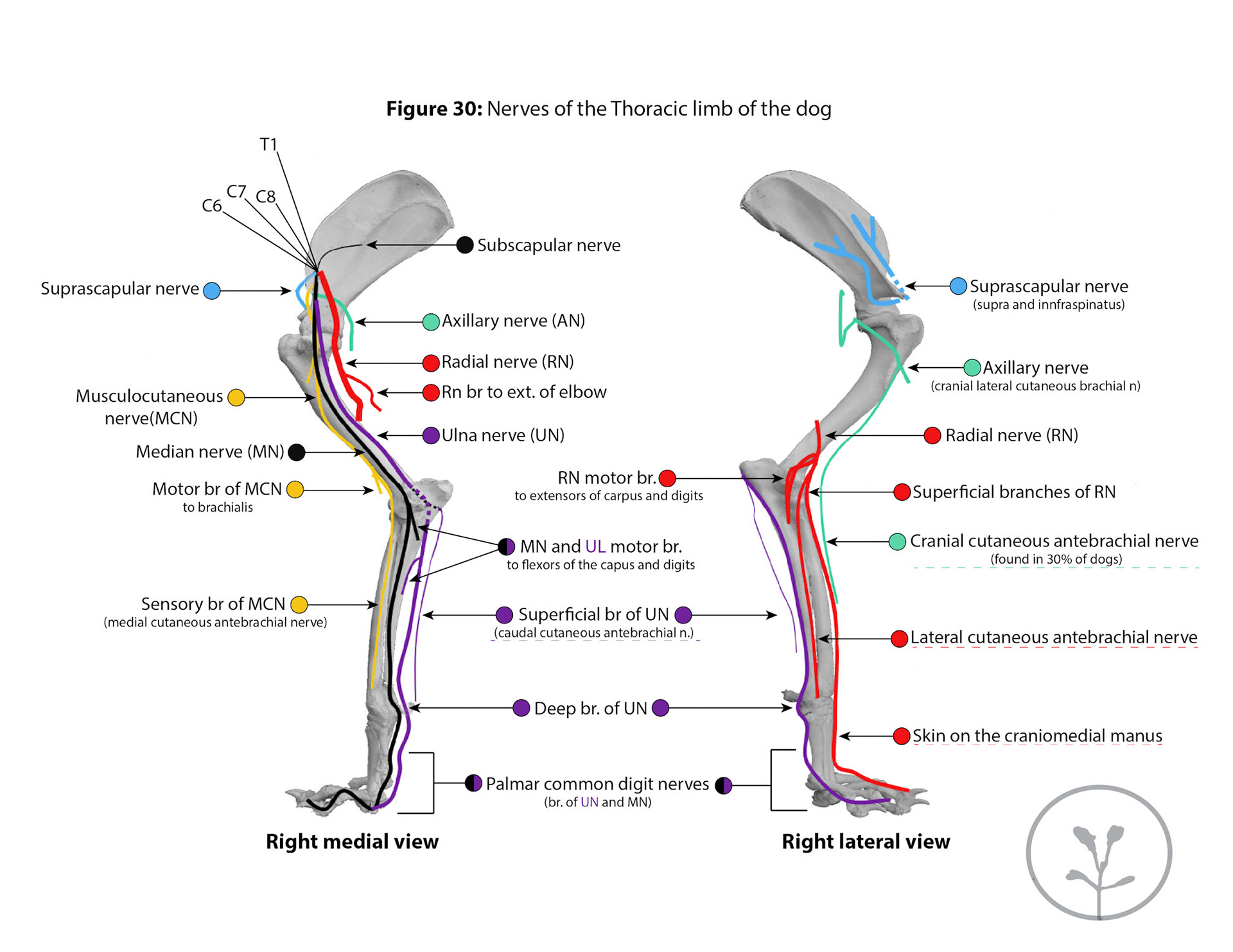 Teaching Lab Guide-in collaboration with BMS ISU