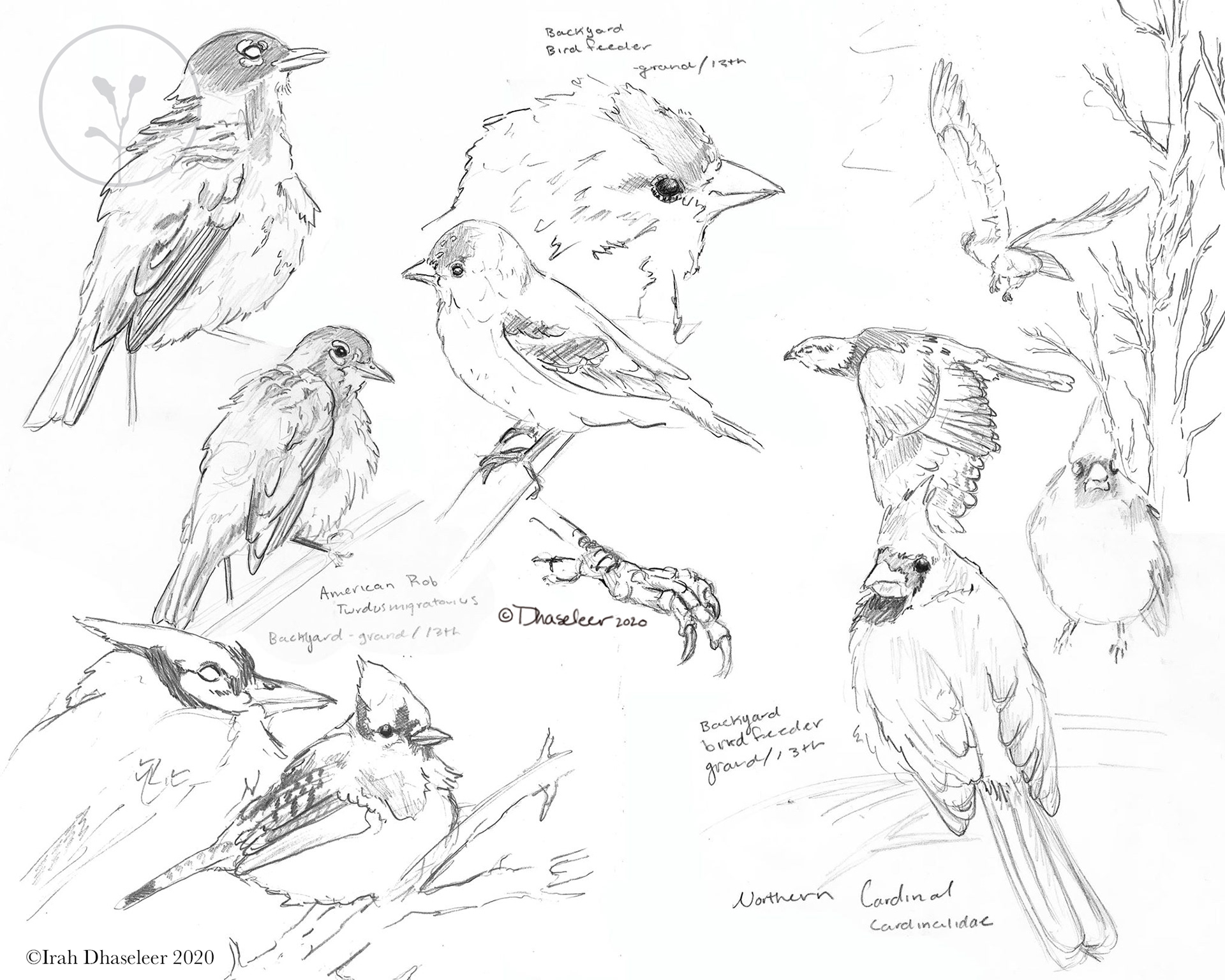Iowa Bird Sketchbook 