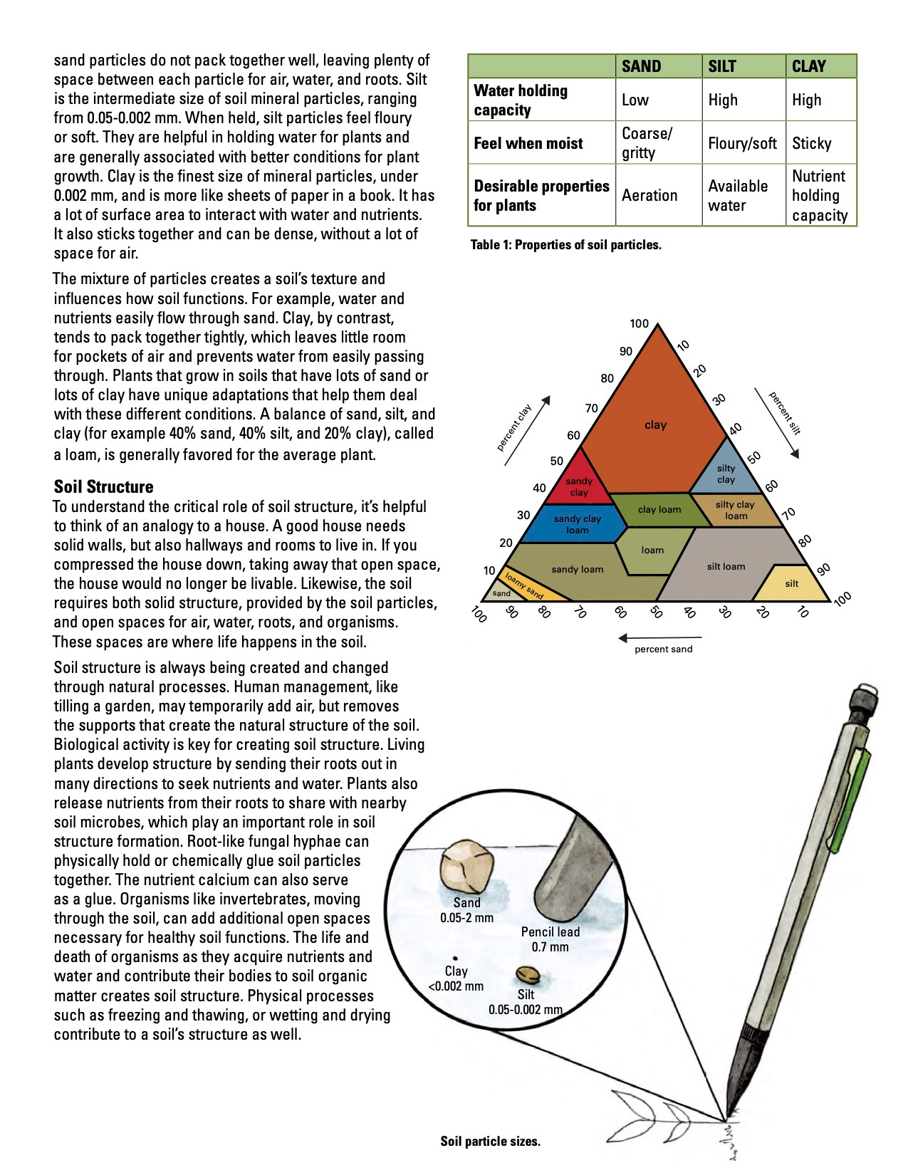 Iowa's Nature Series- NREM