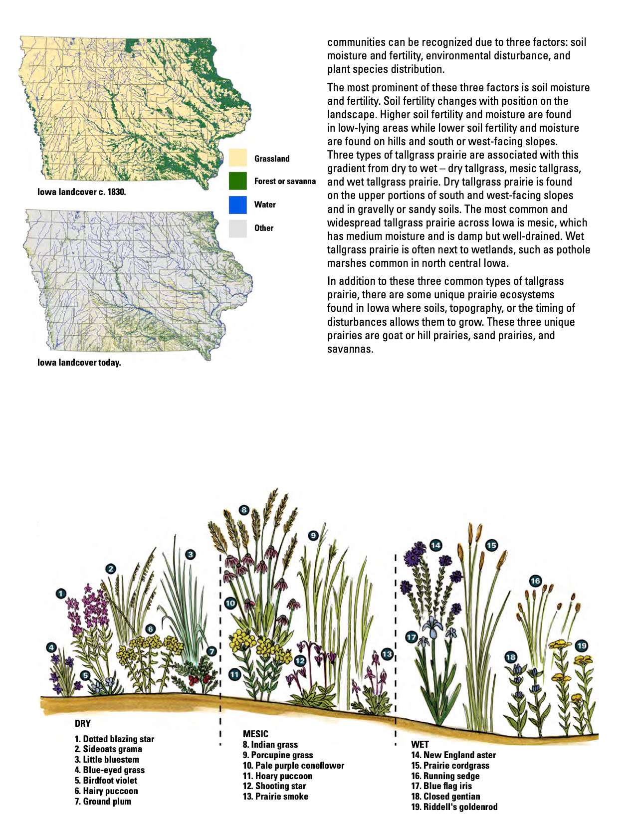 Iowa's Nature Series- NREM 