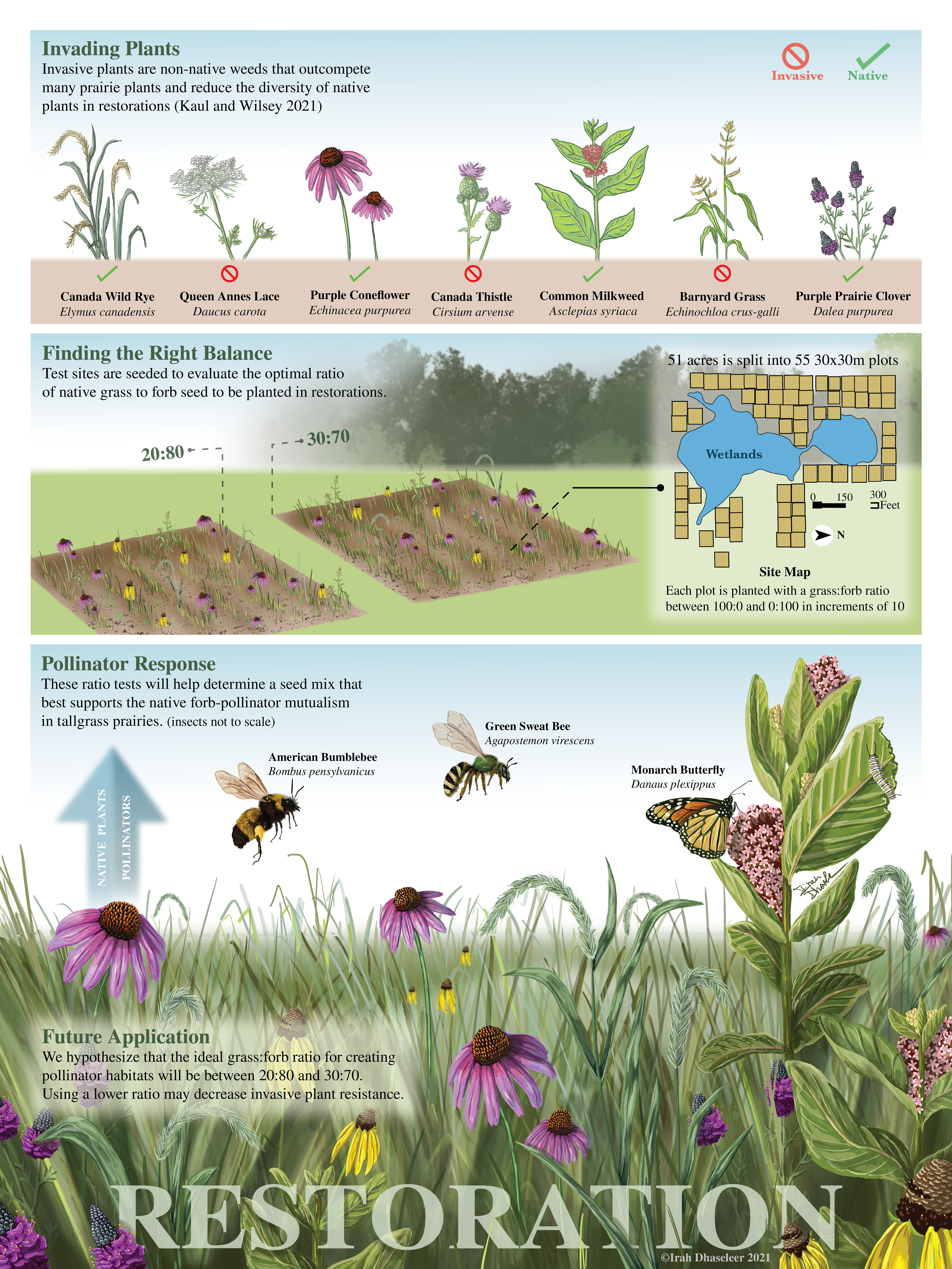 Prairie Restoration-Graduate Student Grant Final Submission