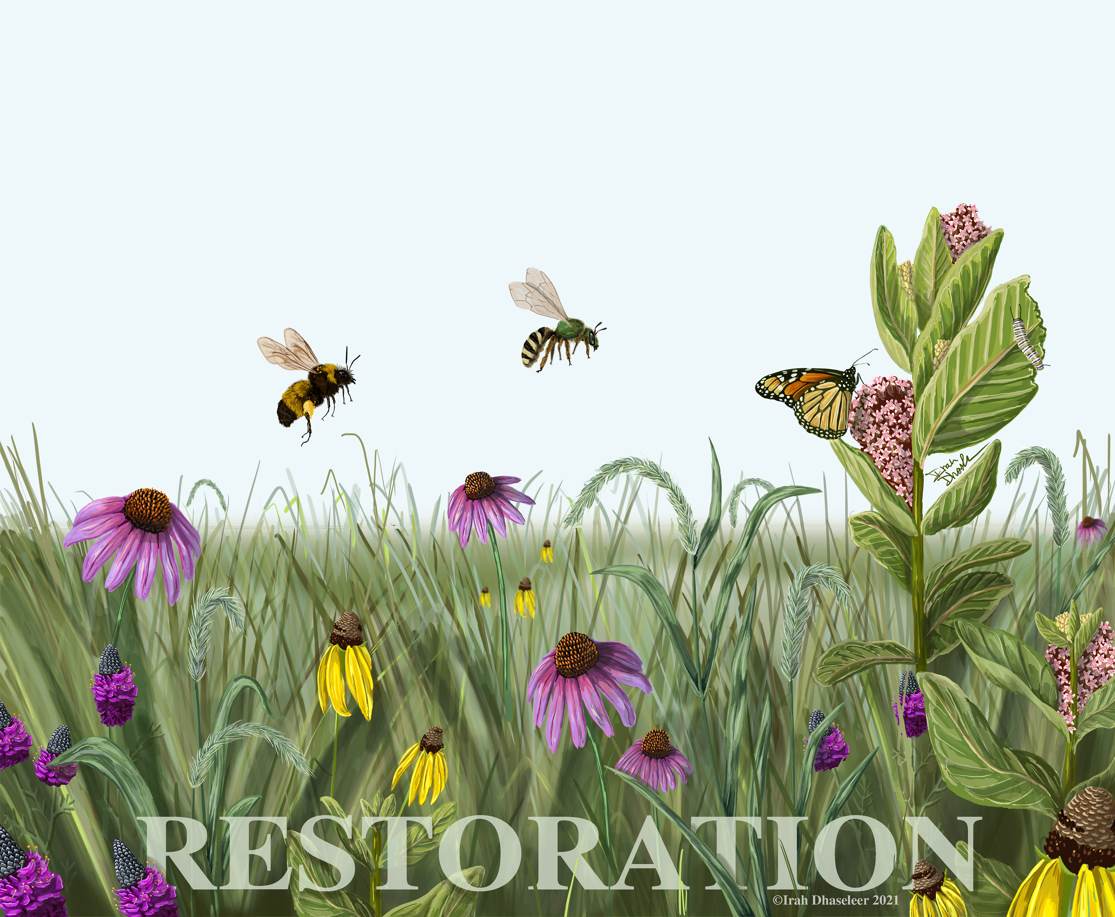 Prairie Restoration Grant