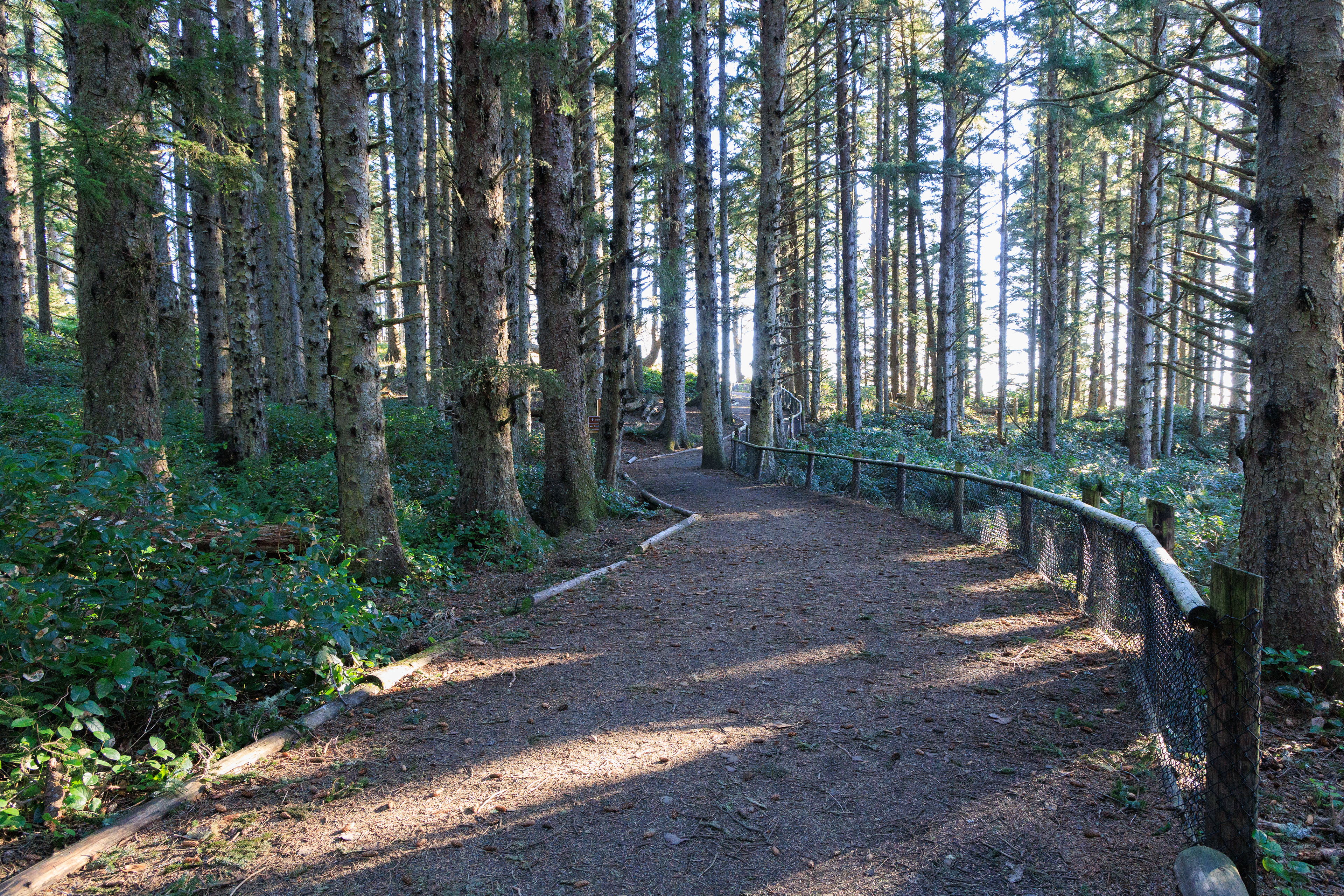 Cape Mears