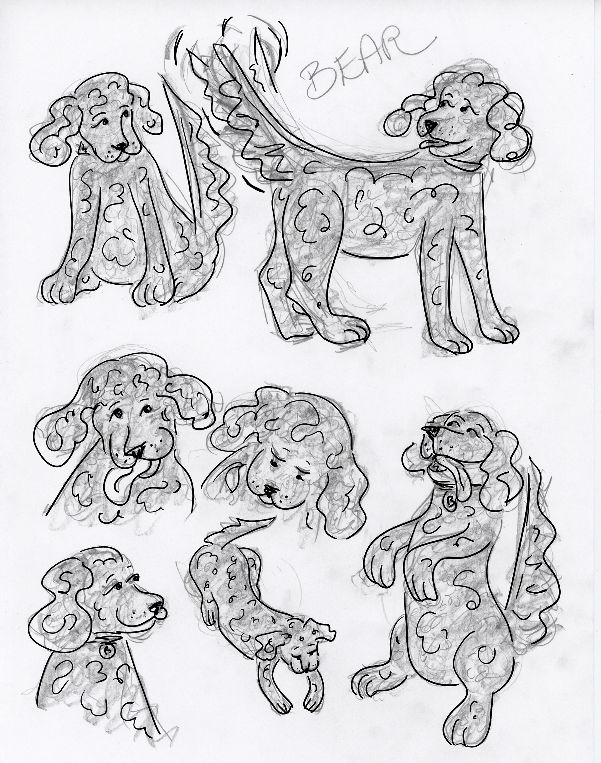 Dog Illustration Character Art Sketches