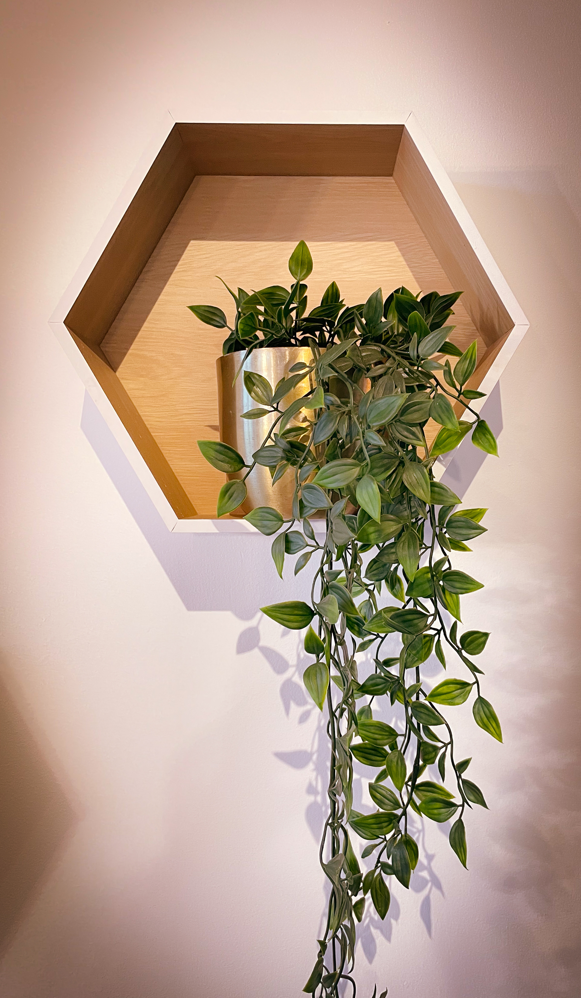 Solitary Plant of Hope, Holistic Space, Milwaukee, WI_2023