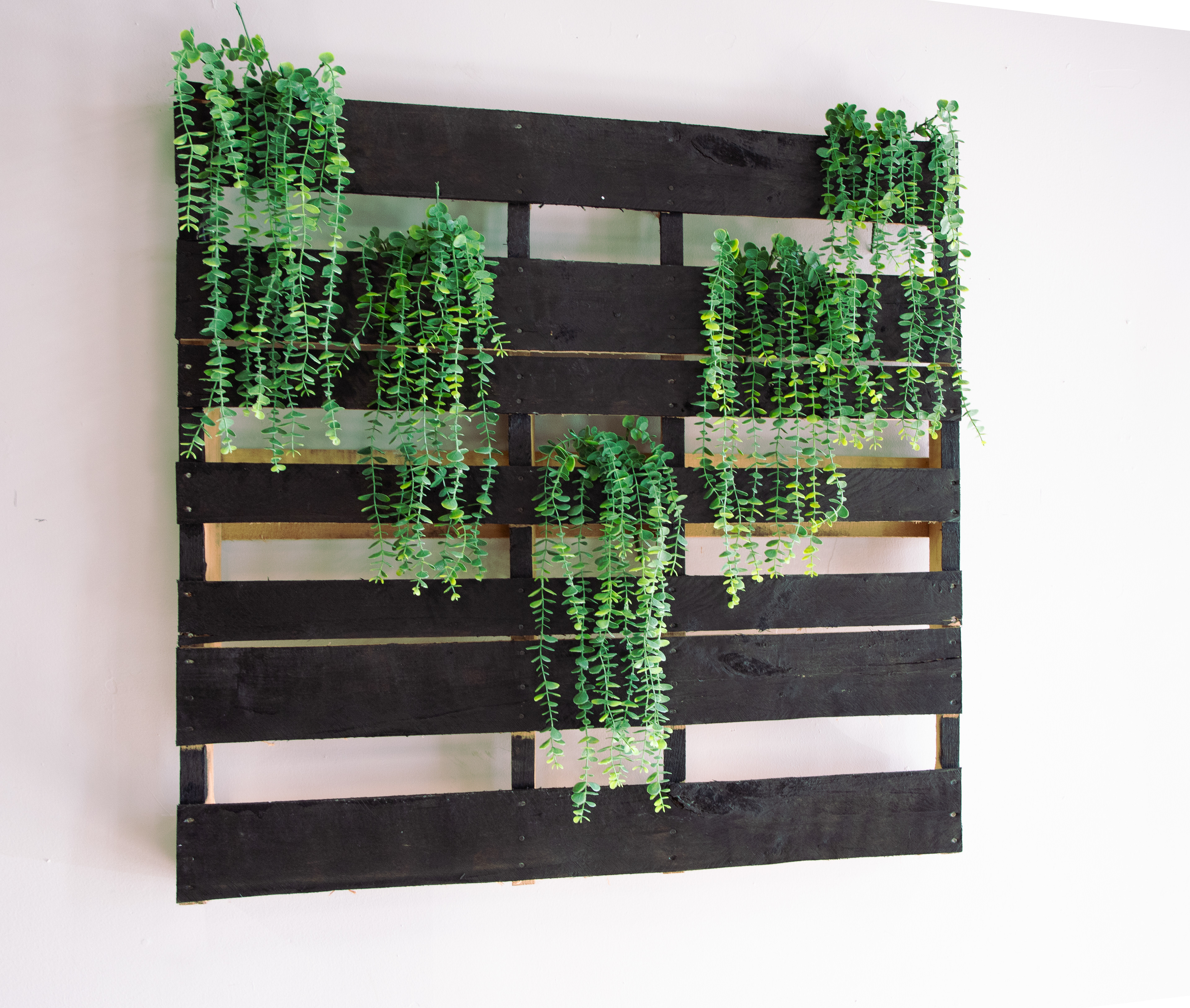 Club Vida Y Energia in Milwaukee, WI - 2026