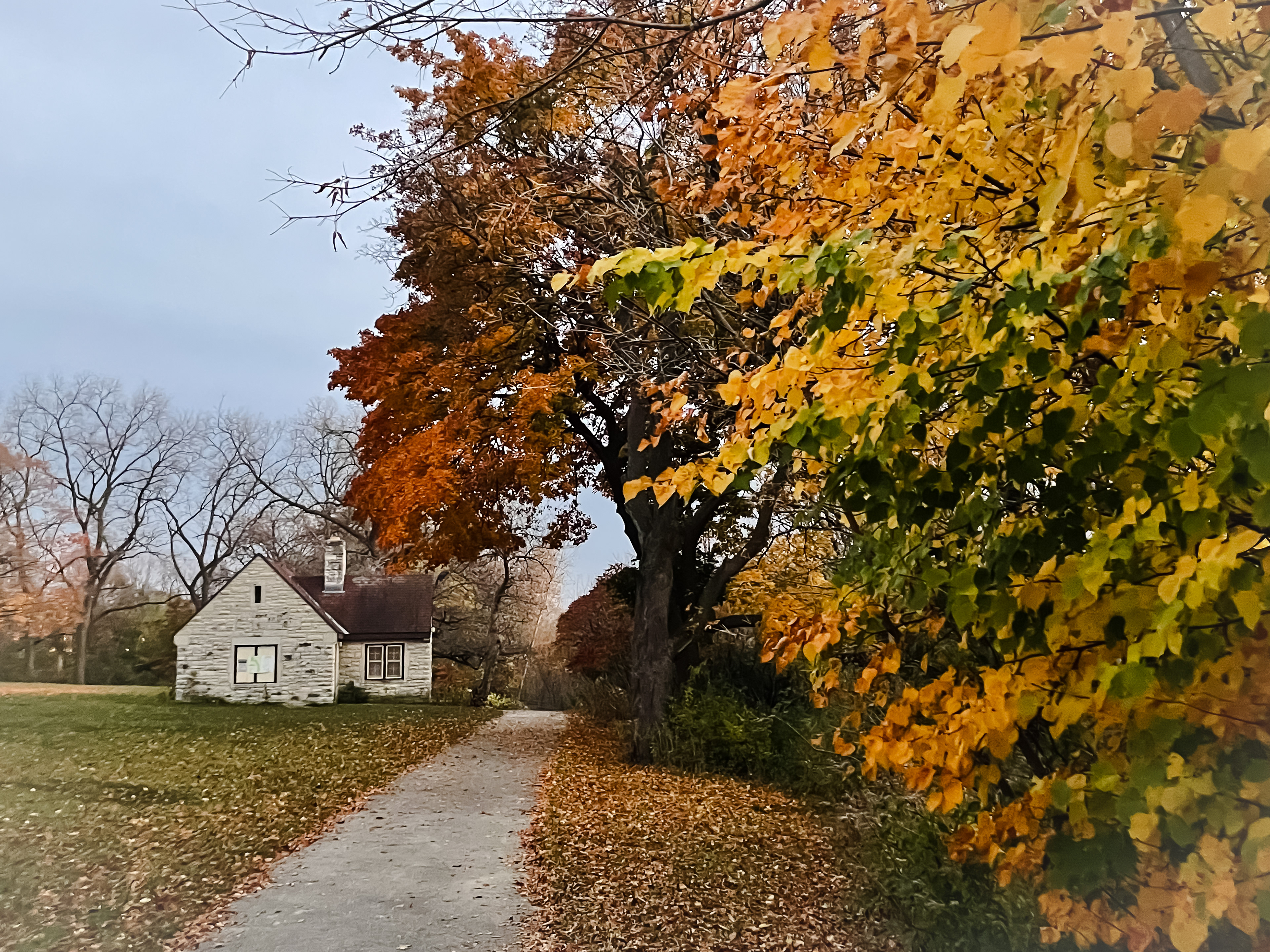 Autumn Colors_Whitefish Bay, 2022