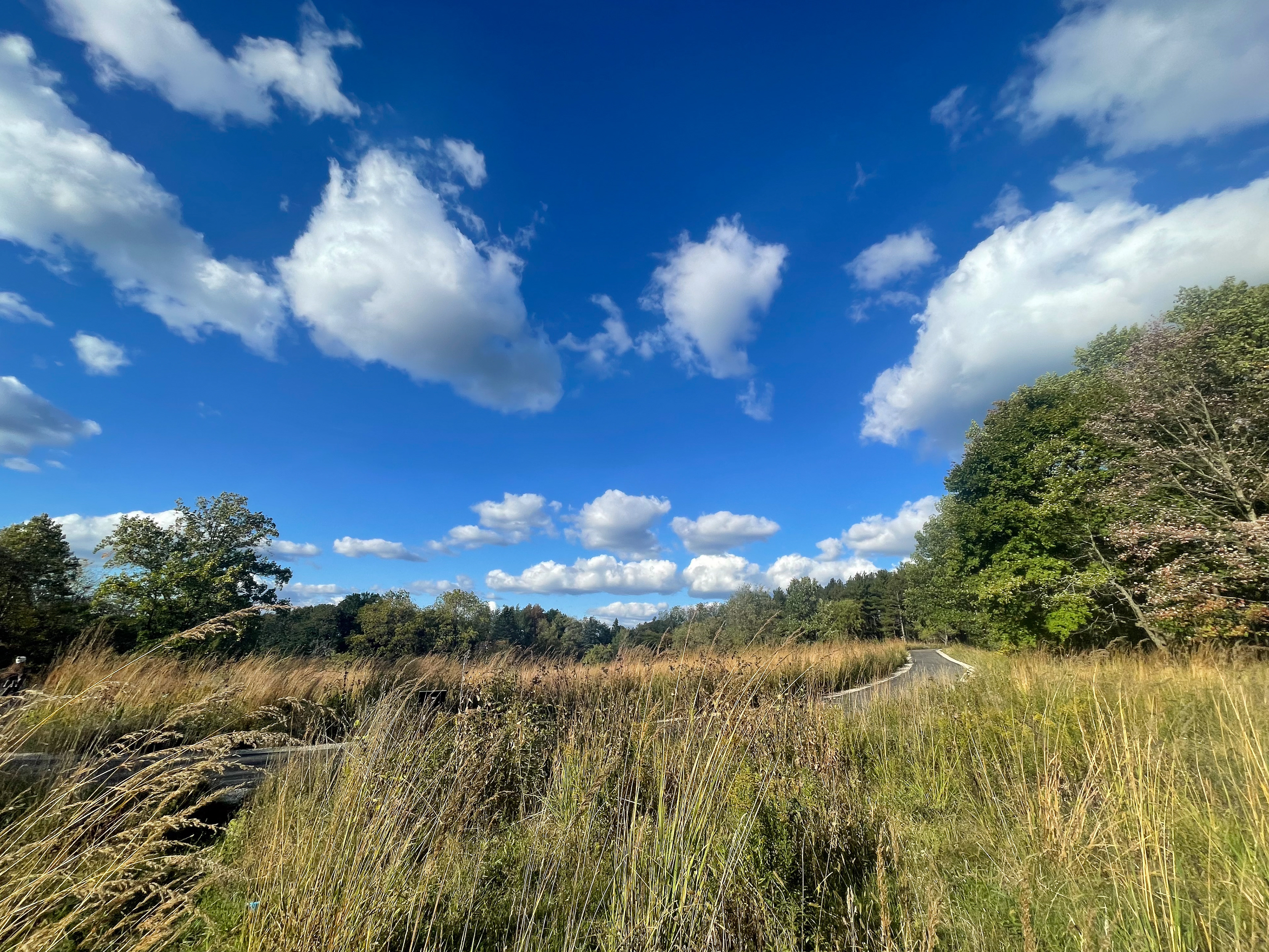 Gliding Clouds, Somewhere in Wisconsin_2025
