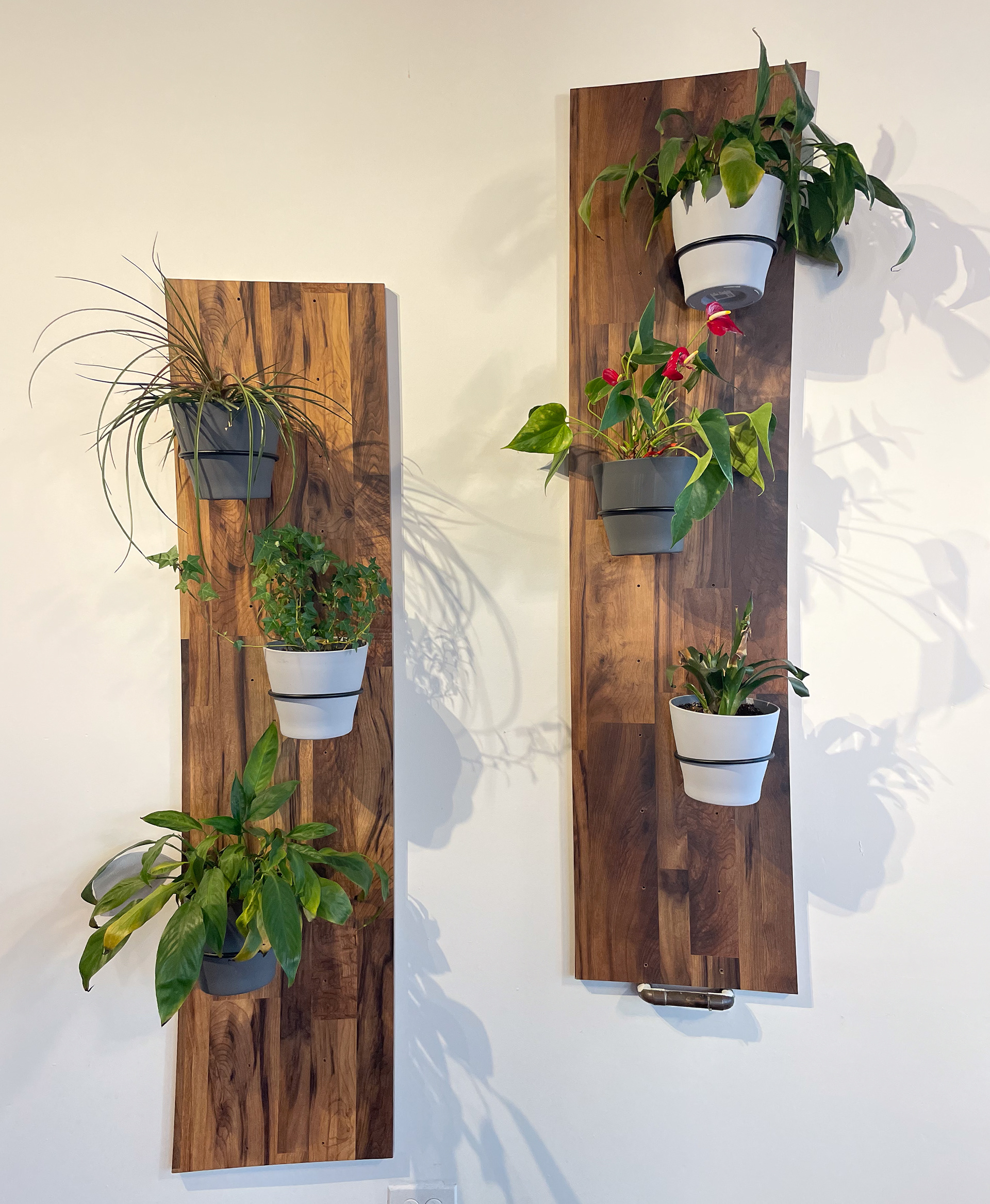 Holistic Retail Space, Milwaukee, WI_2024