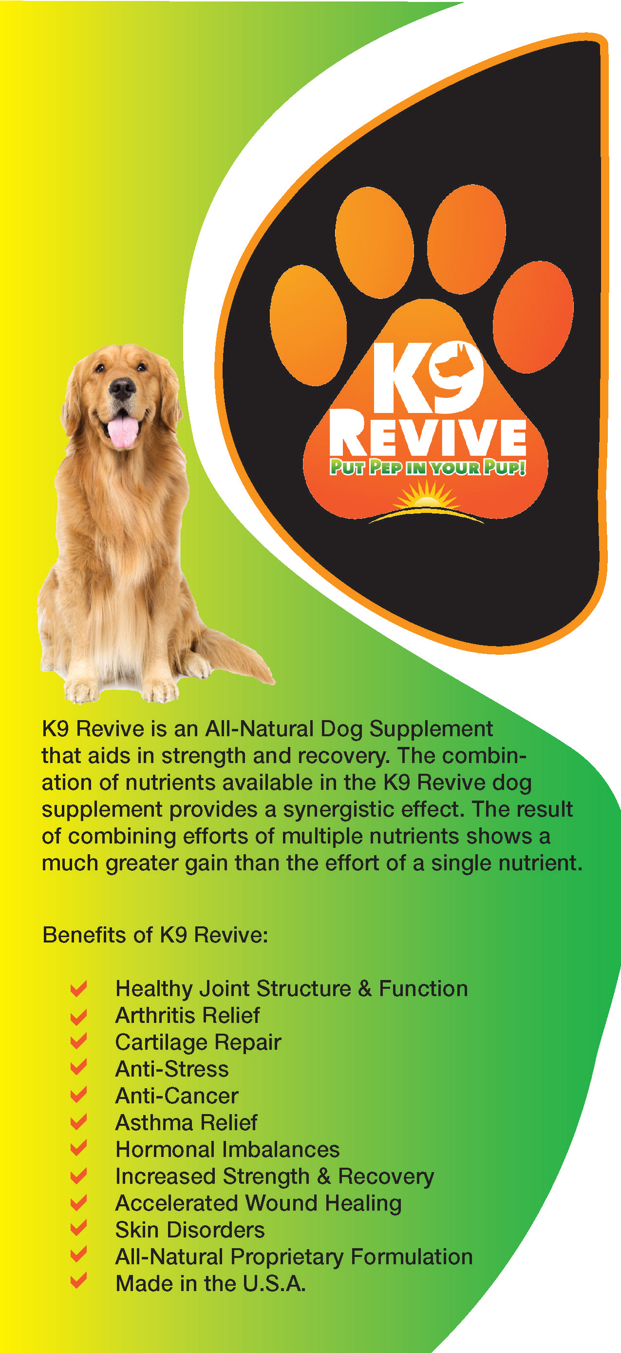 Dog Medicine Rackcard