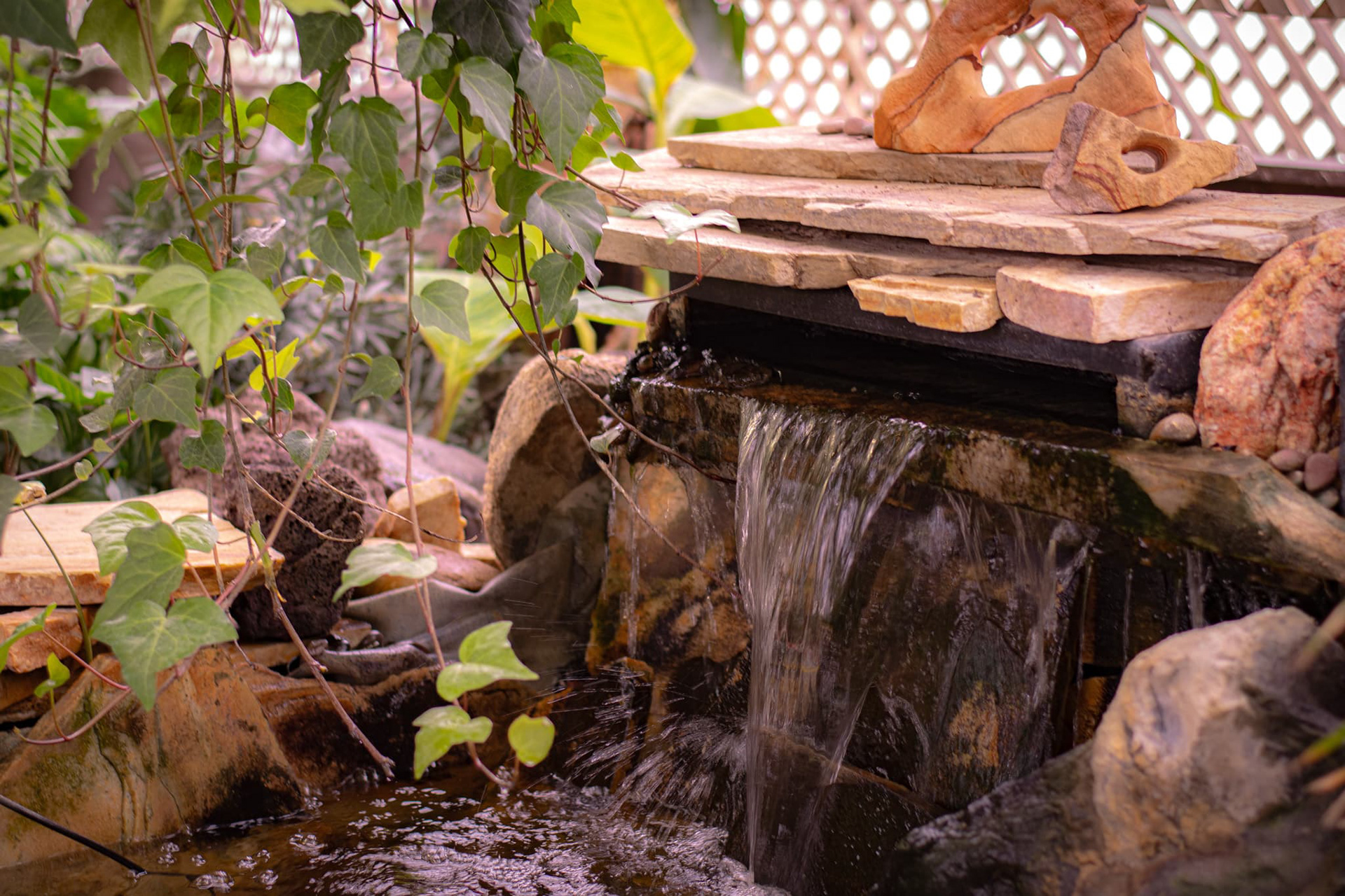 Taken as a part of our "Off Campus Shoot", w a t e r .