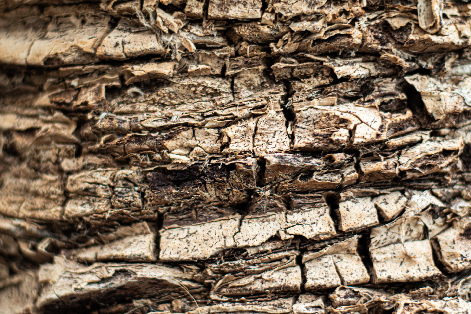 Taken as a part of our "Off Campus Shoot" (5)