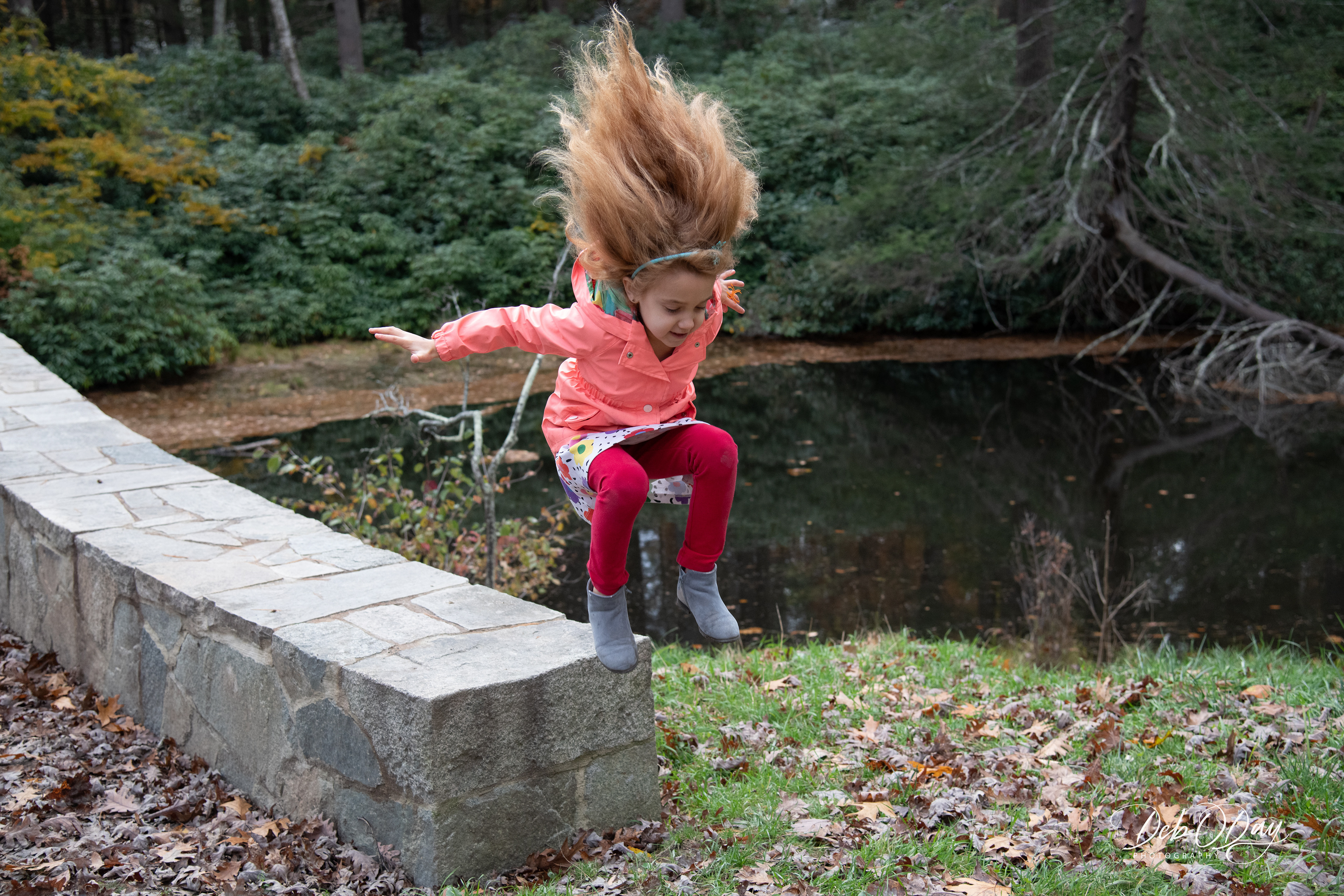 Copyright 2019 All Rights Reserved