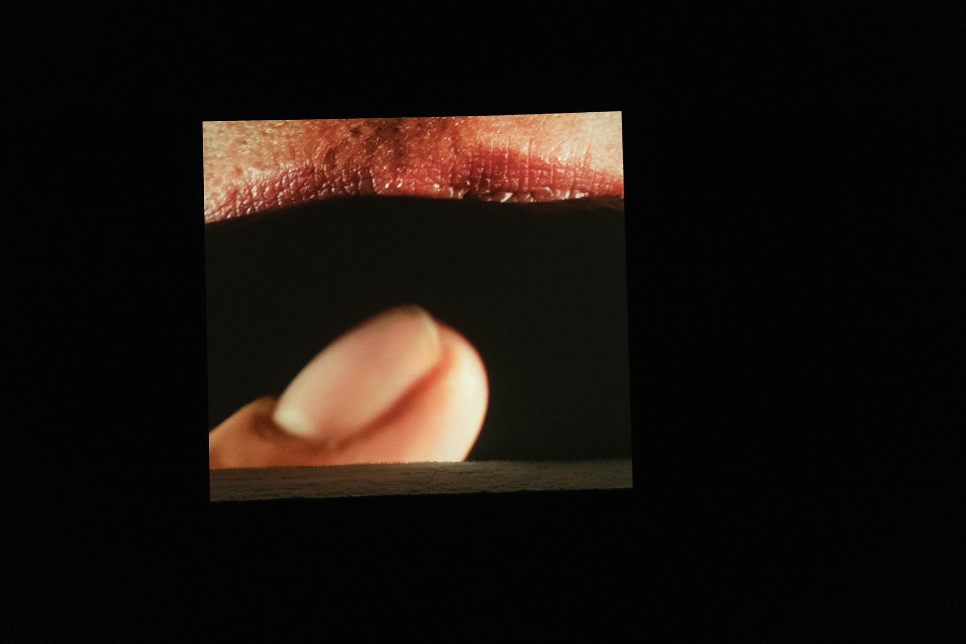 ©Susanne-Hassler Smith