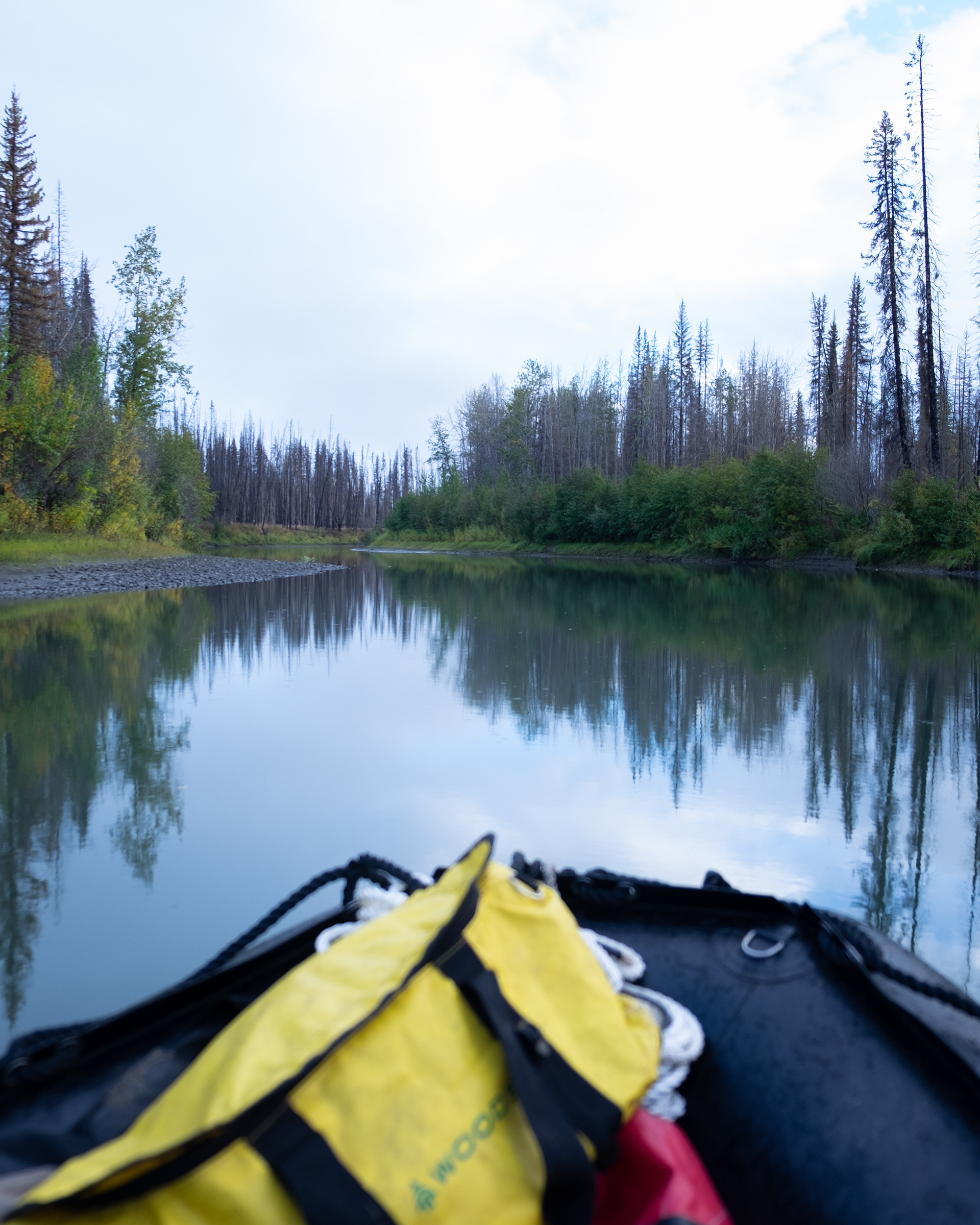 Snaking Sloughs. The ecosystem that grew me, by way of moose meat. On the Traditional Territories of the First Nation of Na-Cho Nyak Dun, Selkirk First Nation and Tr’ondëk Hwëch’in First Nation.
