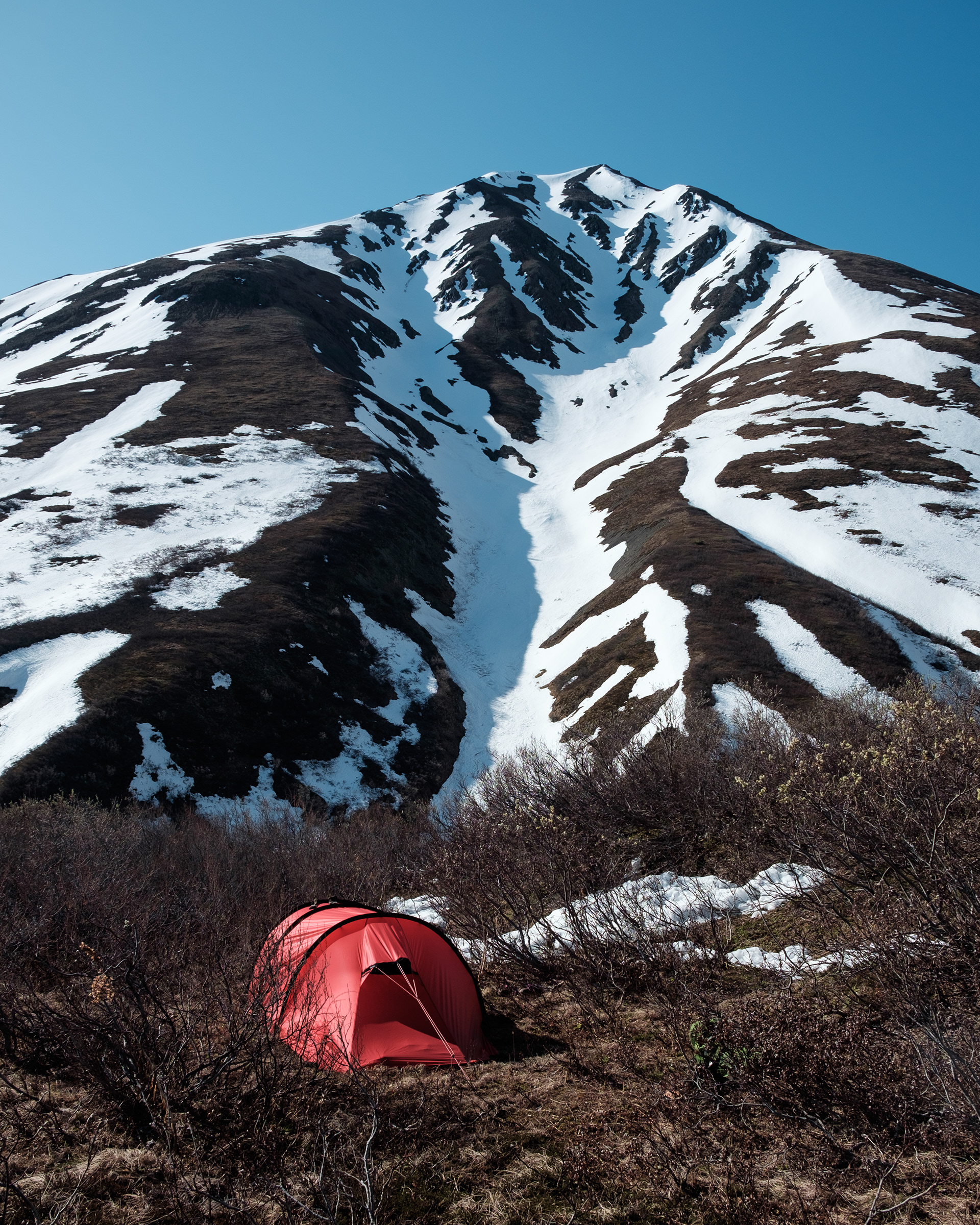Camp Gribbles, where you can have breakfast with a grizzly bear. On the Traditional Territory of the Champagne and Aishihik First Nations.
