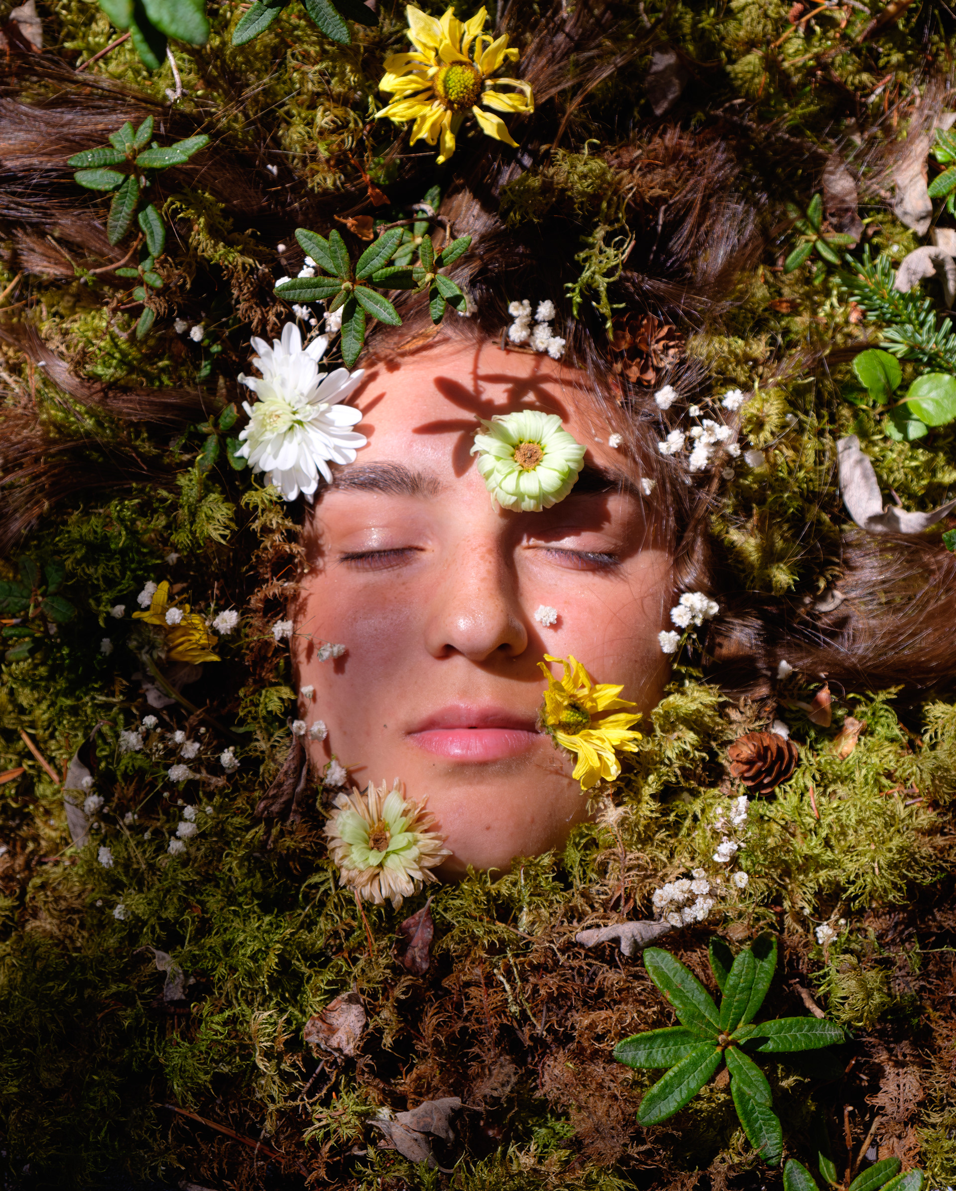 Becoming the Flowers. Avery, for World Environment Day. On the Traditional Territories of the Ta'an Kwäch'än Council and Kwanlin Dün First Nation. Song pairing: In a Week (feat. Karen Cowley), Hozier.
