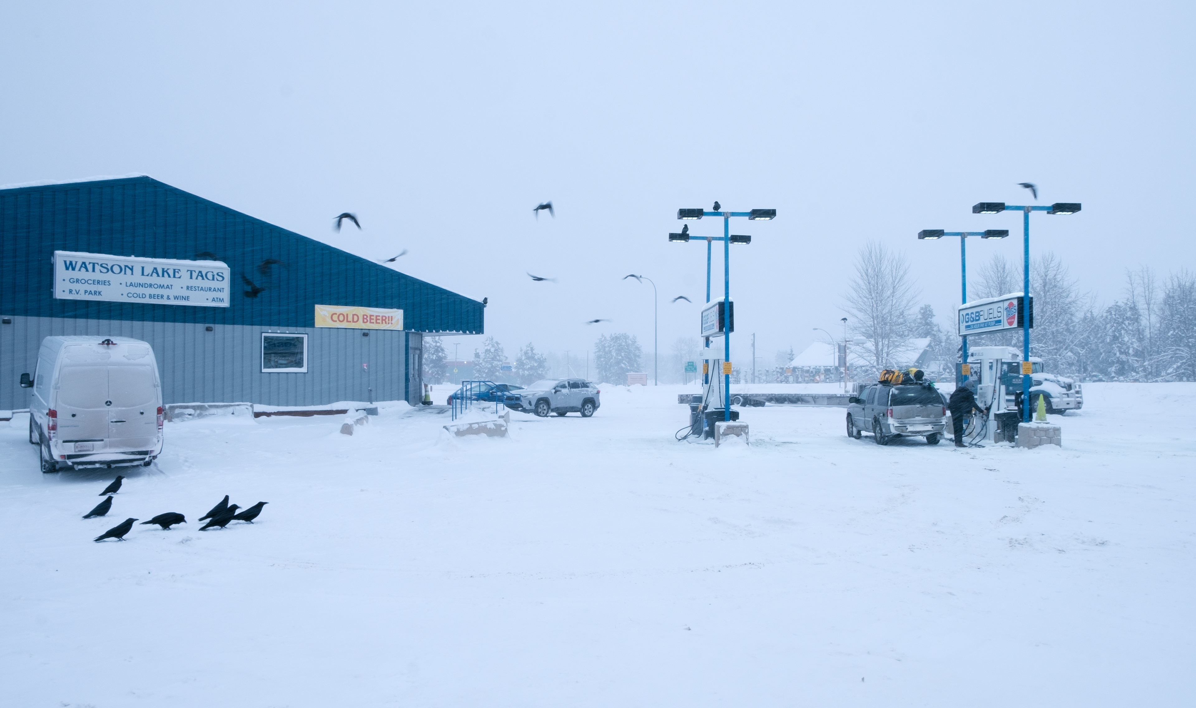 Unkindness at Watson Lake Tags. On the traditional territories of the Liard First Nation and Ross River Dena Council of Kaska Nation.